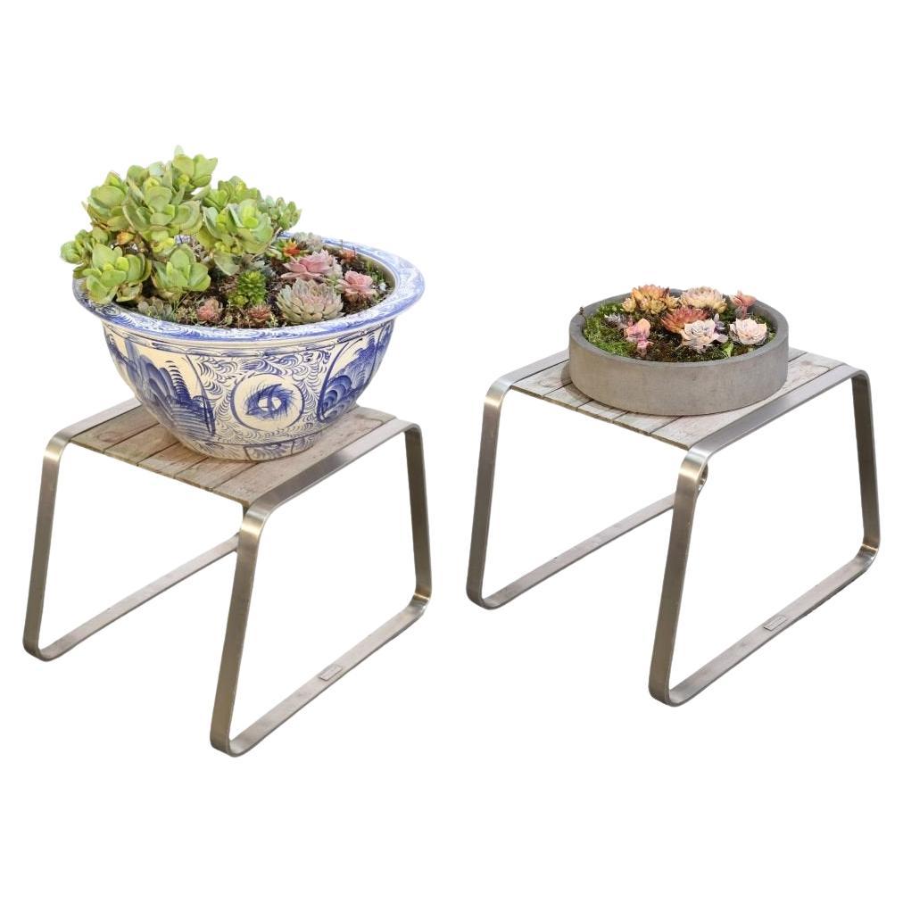 Ciotole per piante in ceramica con succulente, set da due