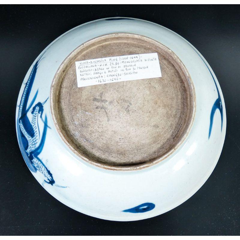 Ceramic Plate, Ming Dynasty, China, Early 17th Century 5