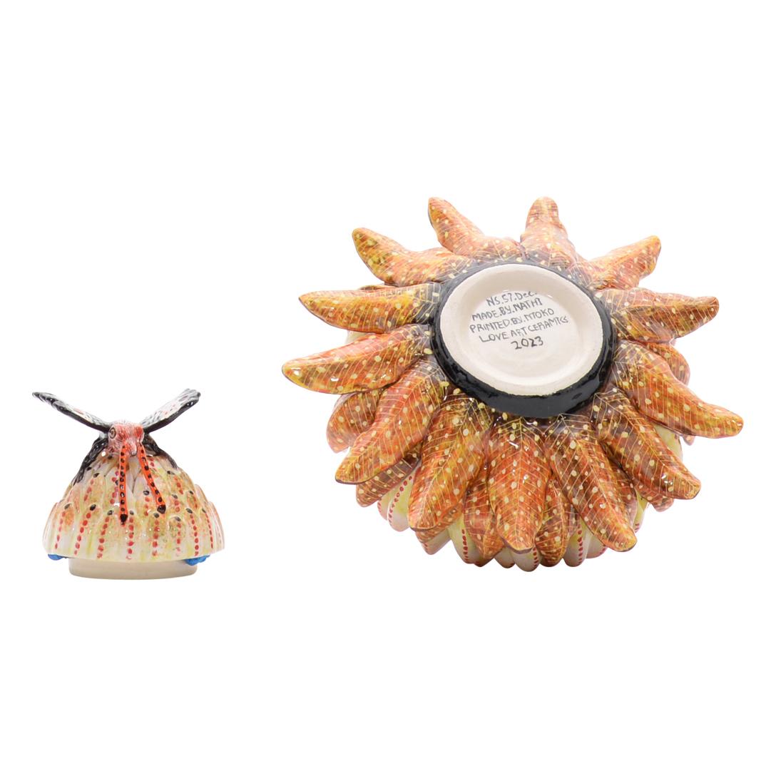 Modern Ceramic Protea Jewelry Box  , hand made in South Africa
