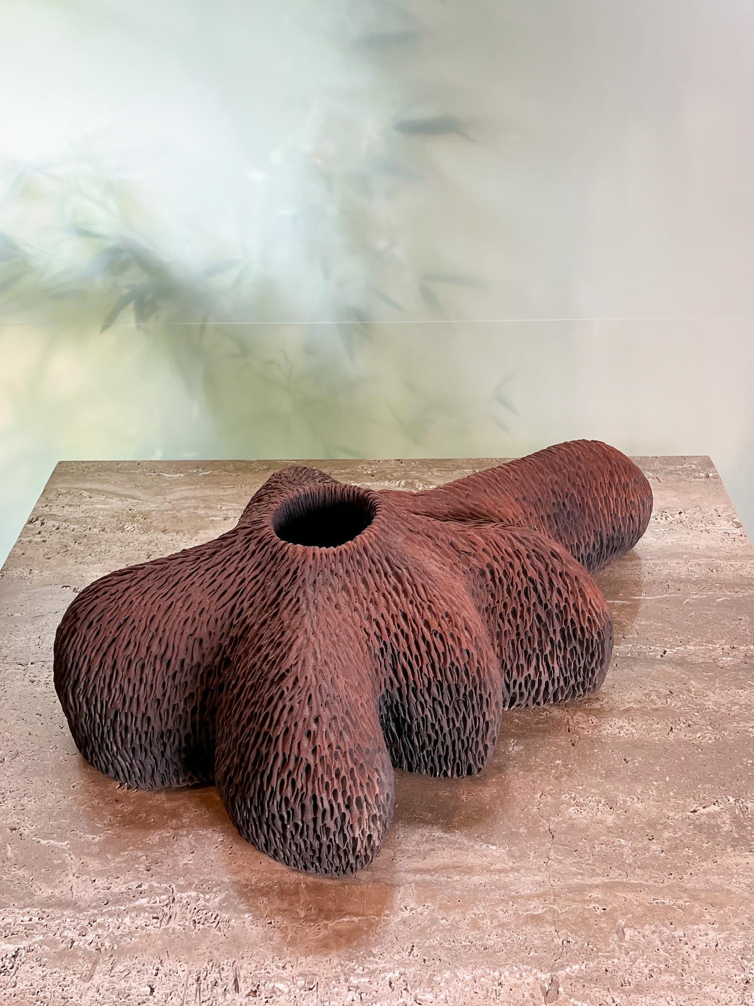 Ceramic Sculpture by Rob Sieminski 4
