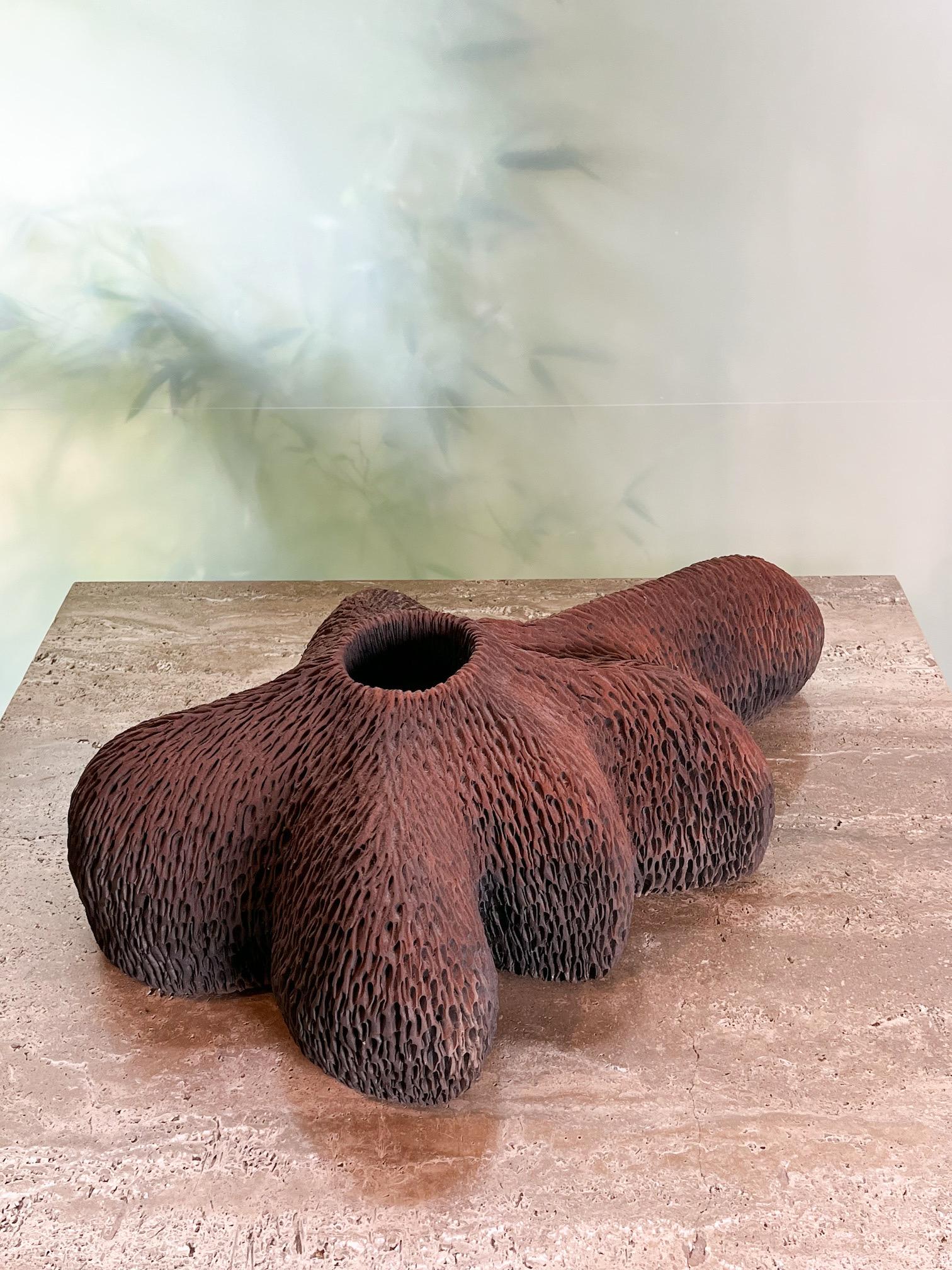 Ceramic Sculpture by Rob Sieminski 5