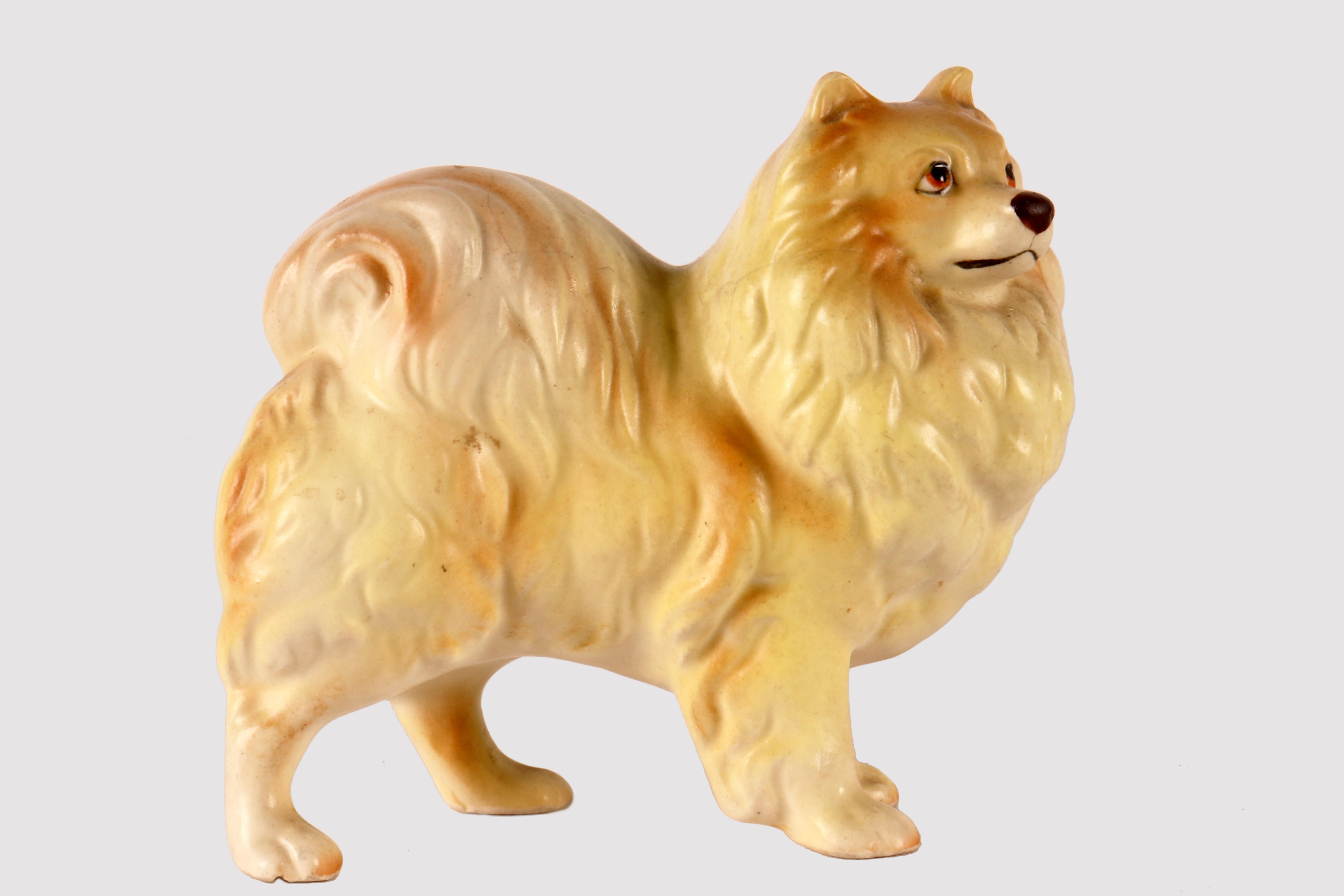 Painted ceramic sculpture depicting a Pomeranian dog. England circa 1950.