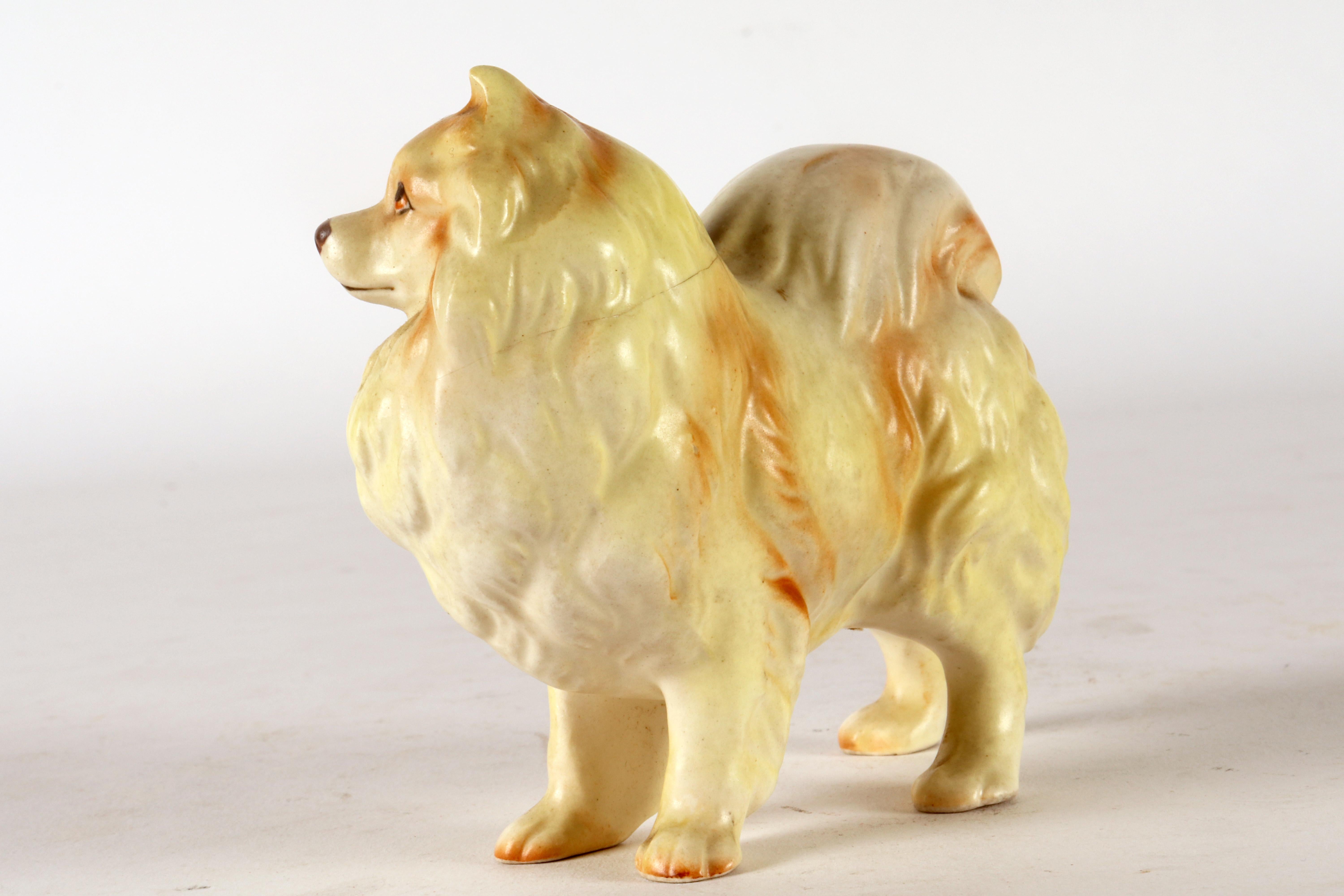 English Ceramic sculpture of a Pomeranian dog, England 1950.   For Sale