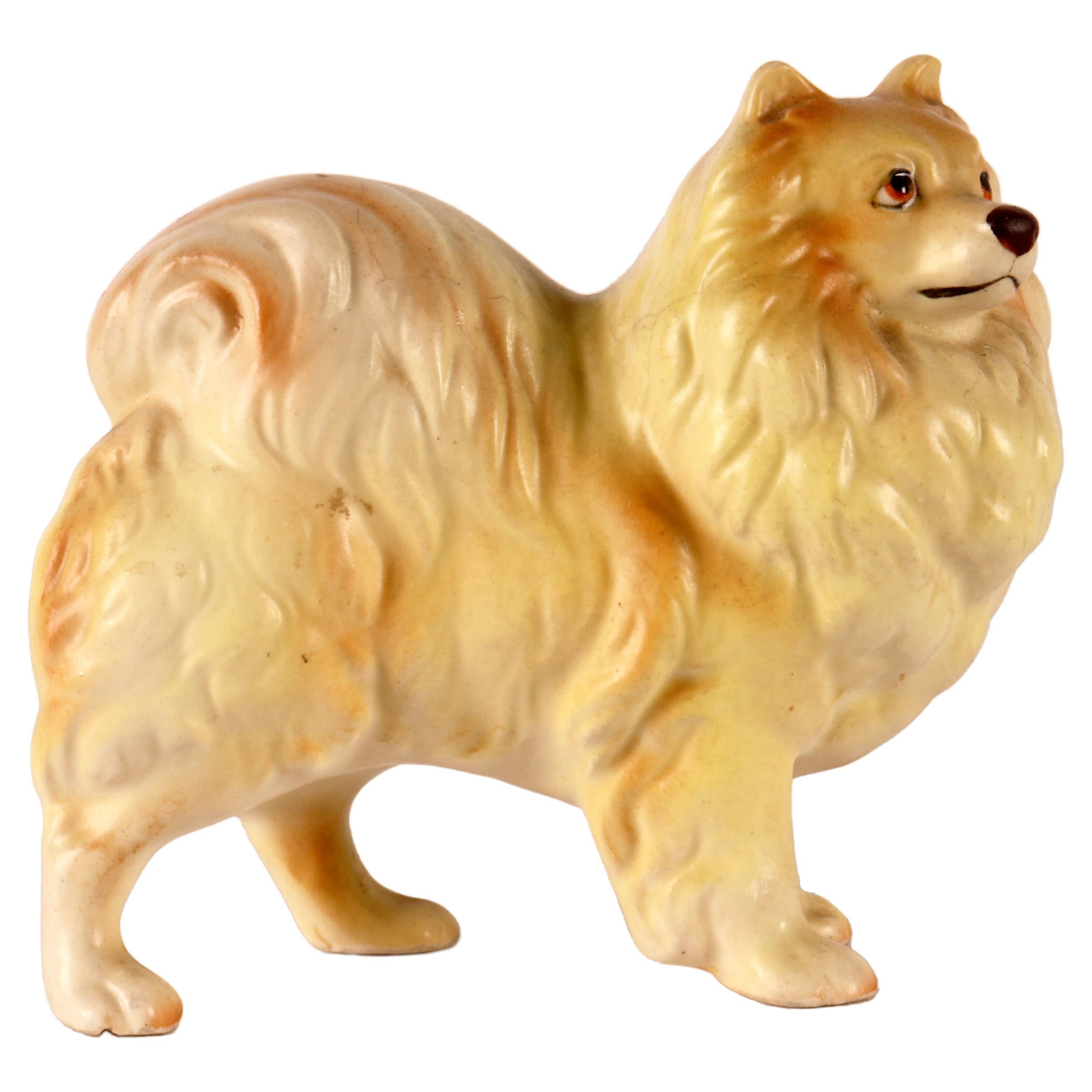 Ceramic sculpture of a Pomeranian dog, England 1950. For Sale