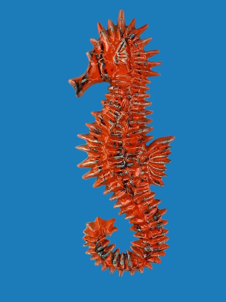 Glazed Ceramic Seahorse wall decoration- designer Yann - Amphora Belgium- 1960