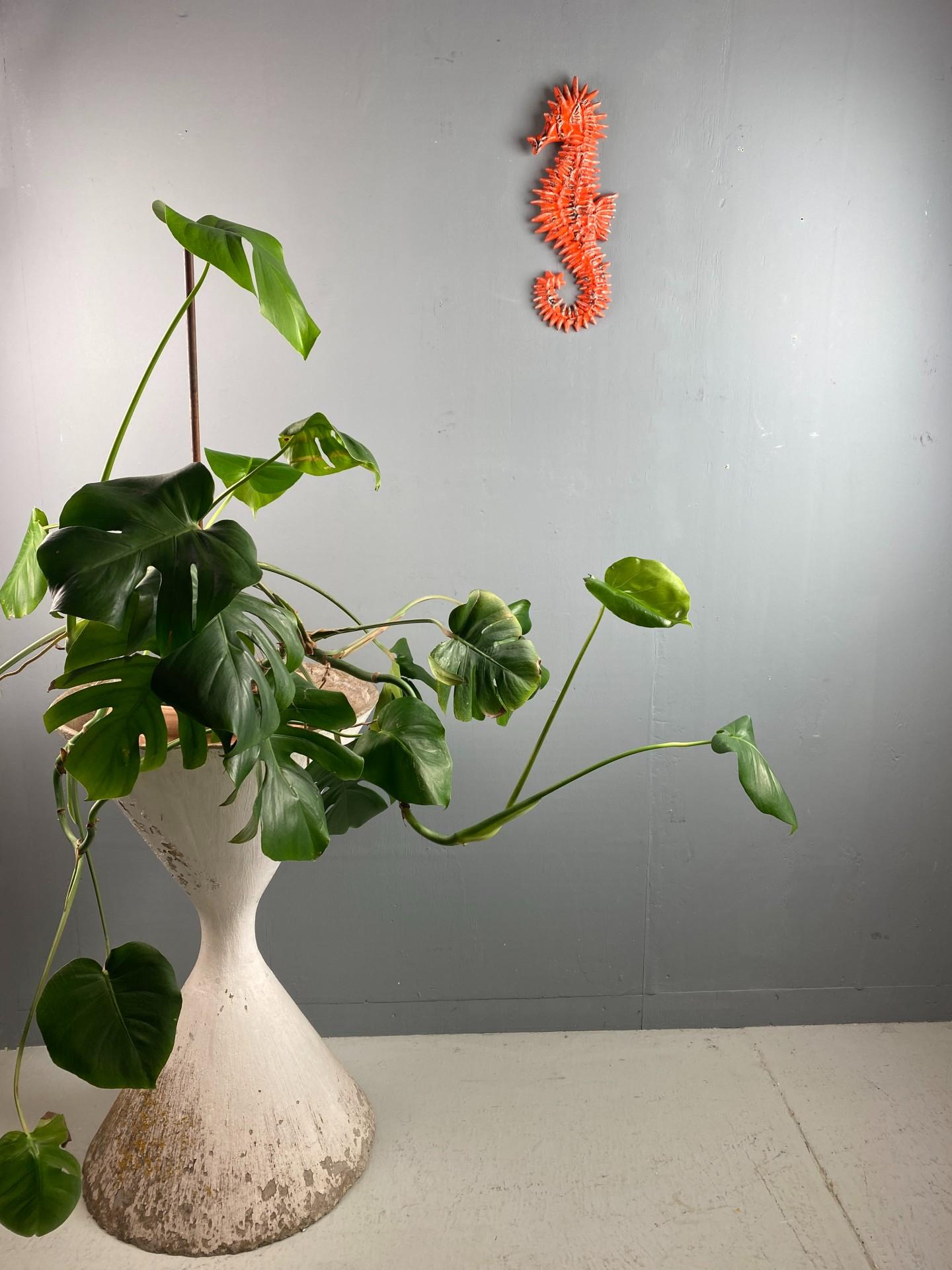 Mid-20th Century Ceramic Seahorse wall decoration- designer Yann - Amphora Belgium- 1960