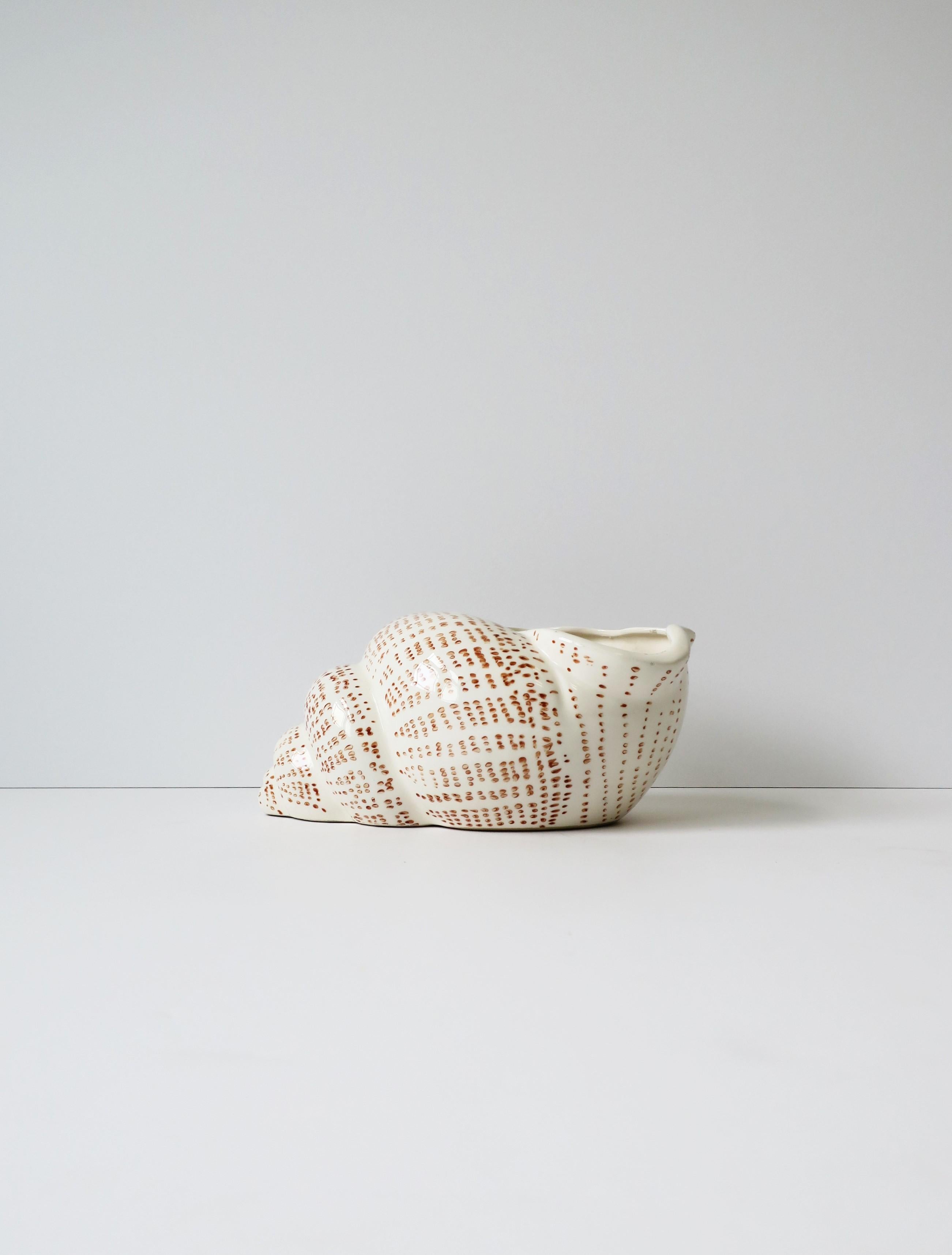 ceramic seashell planter