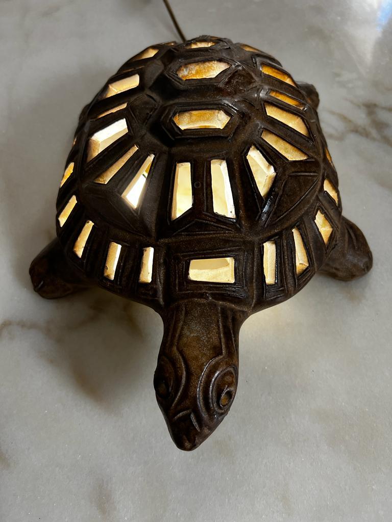turtle shaped lamp