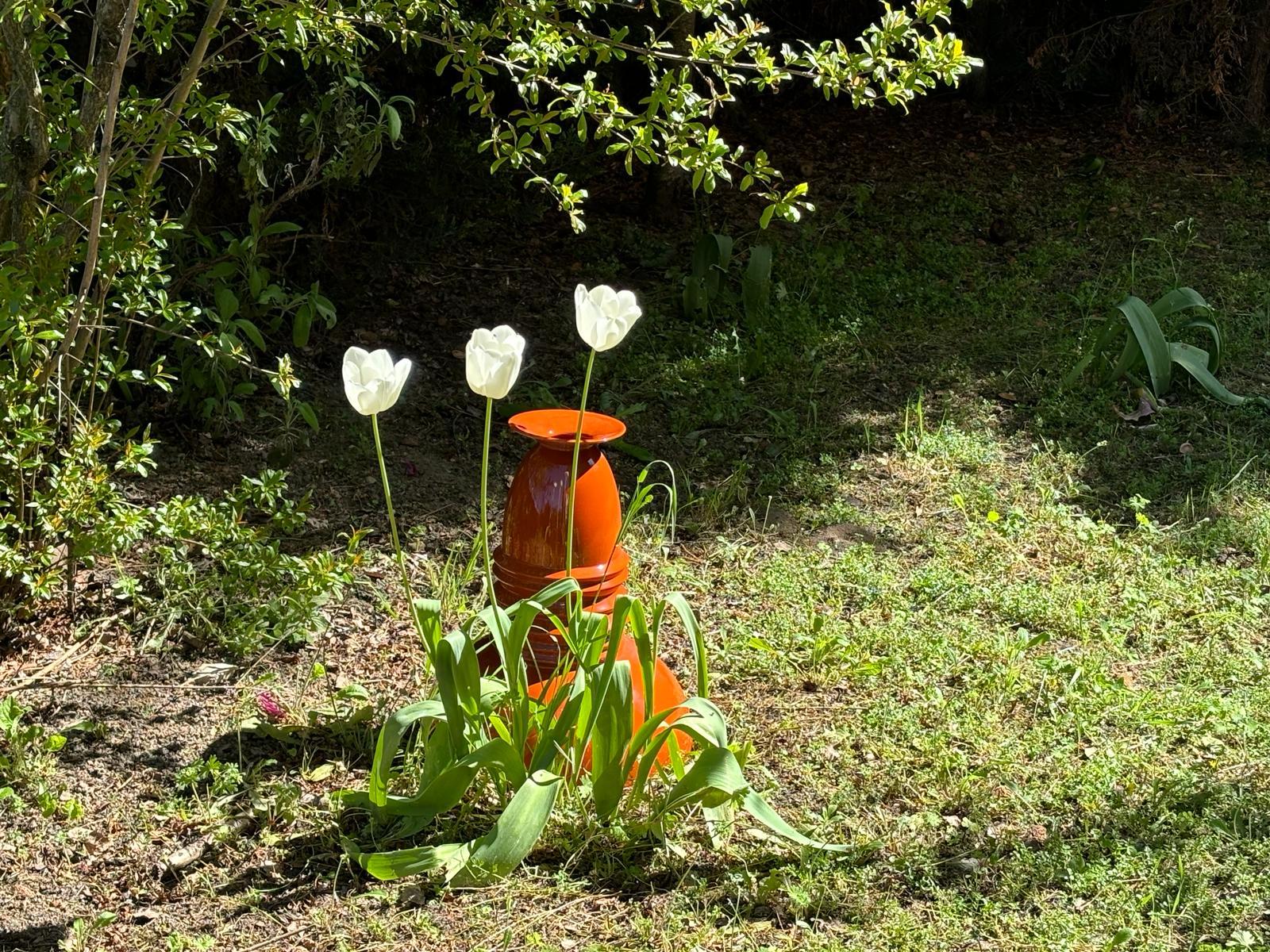 Keramikvase Katmandu, Modell von Sergio Asti für Superego Edition (21. Jahrhundert und zeitgenössisch) im Angebot
