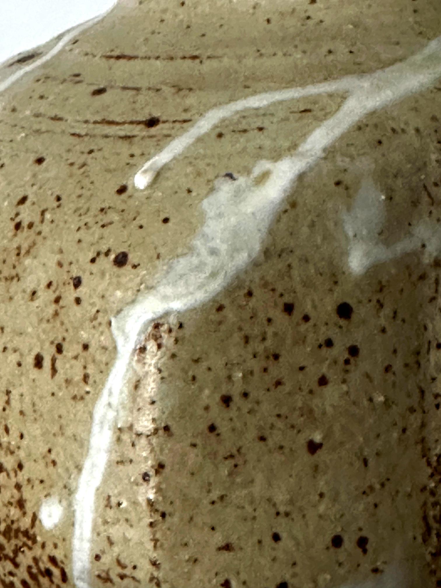 Ceramic Vase with Bespoken Glaze by Makoto Yabe For Sale 12