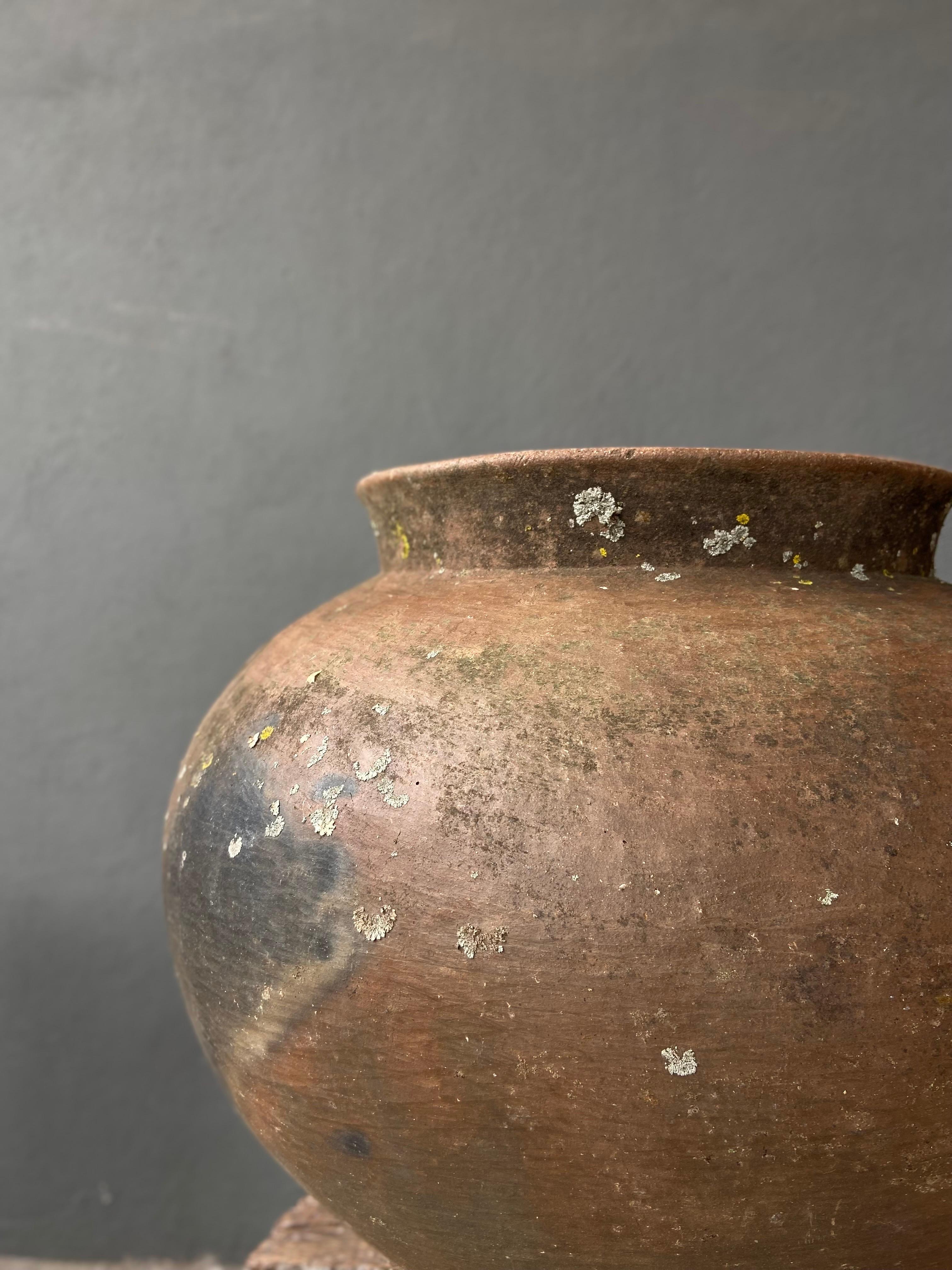 Ceramic Water Pot from Oaxaca, circa 1940s 4