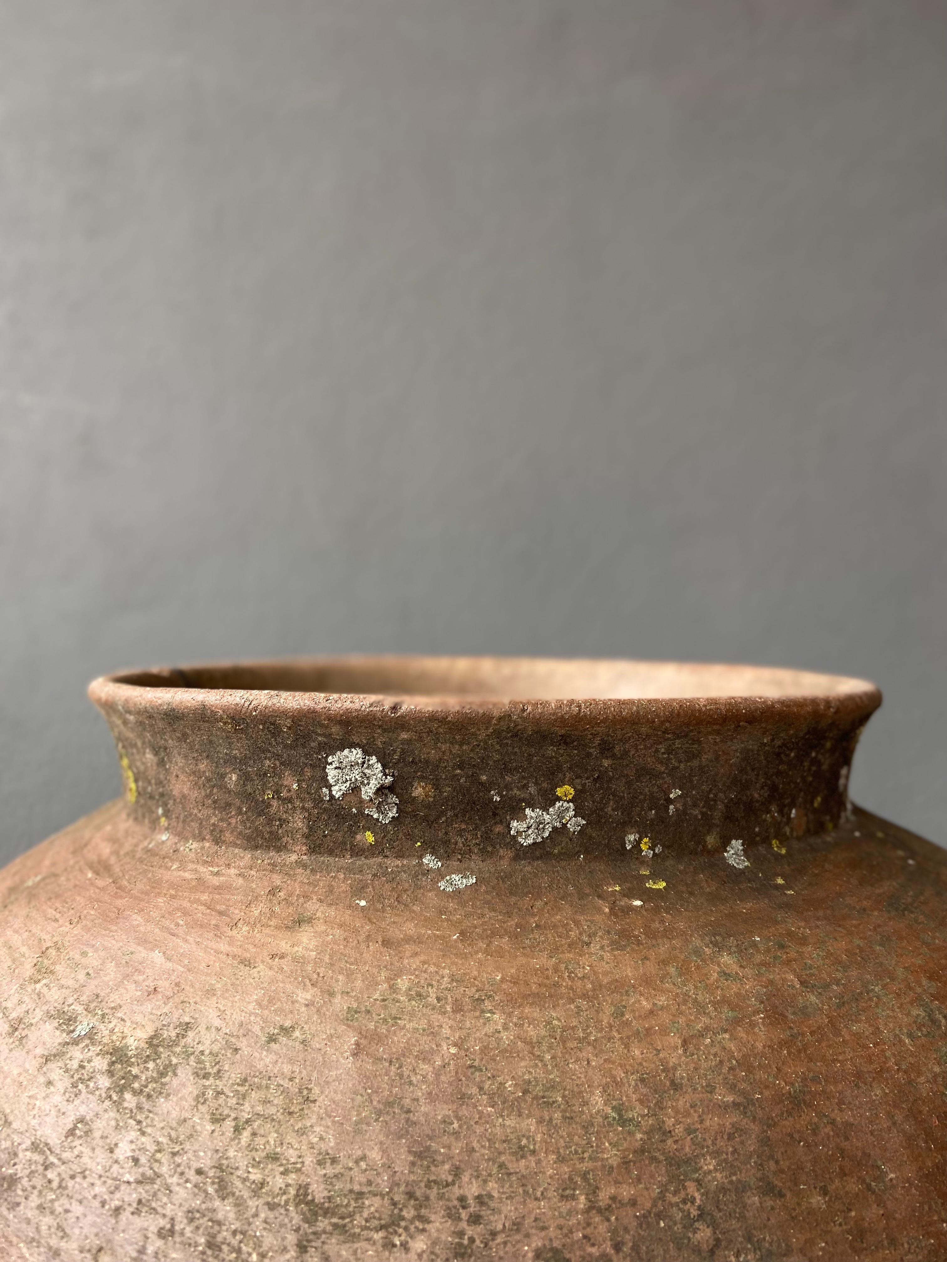 Ceramic Water Pot from Oaxaca, circa 1940s 5
