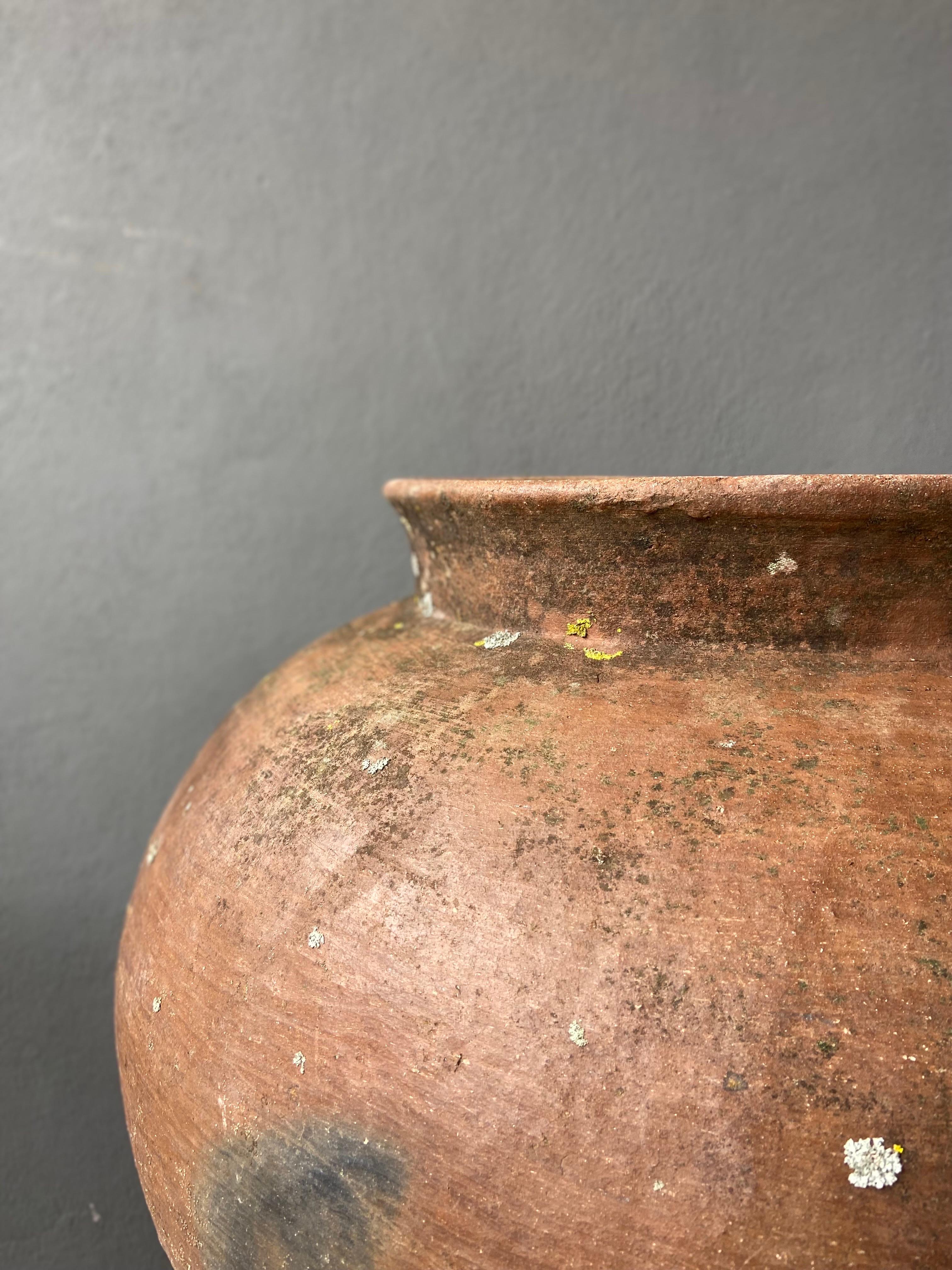 Fired Ceramic Water Pot from Oaxaca, circa 1940s
