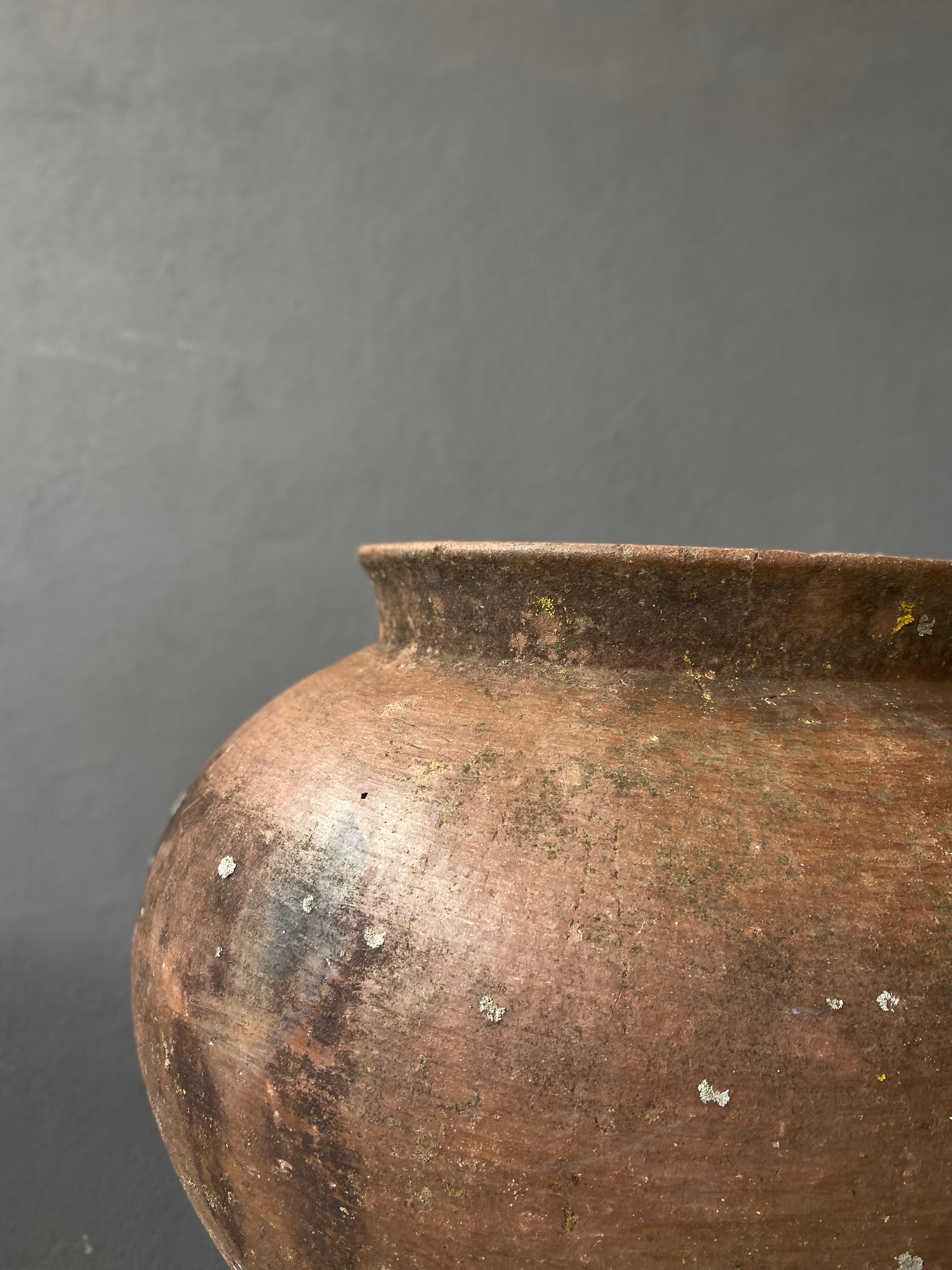 Ceramic Water Pot from Oaxaca, circa 1940s 1