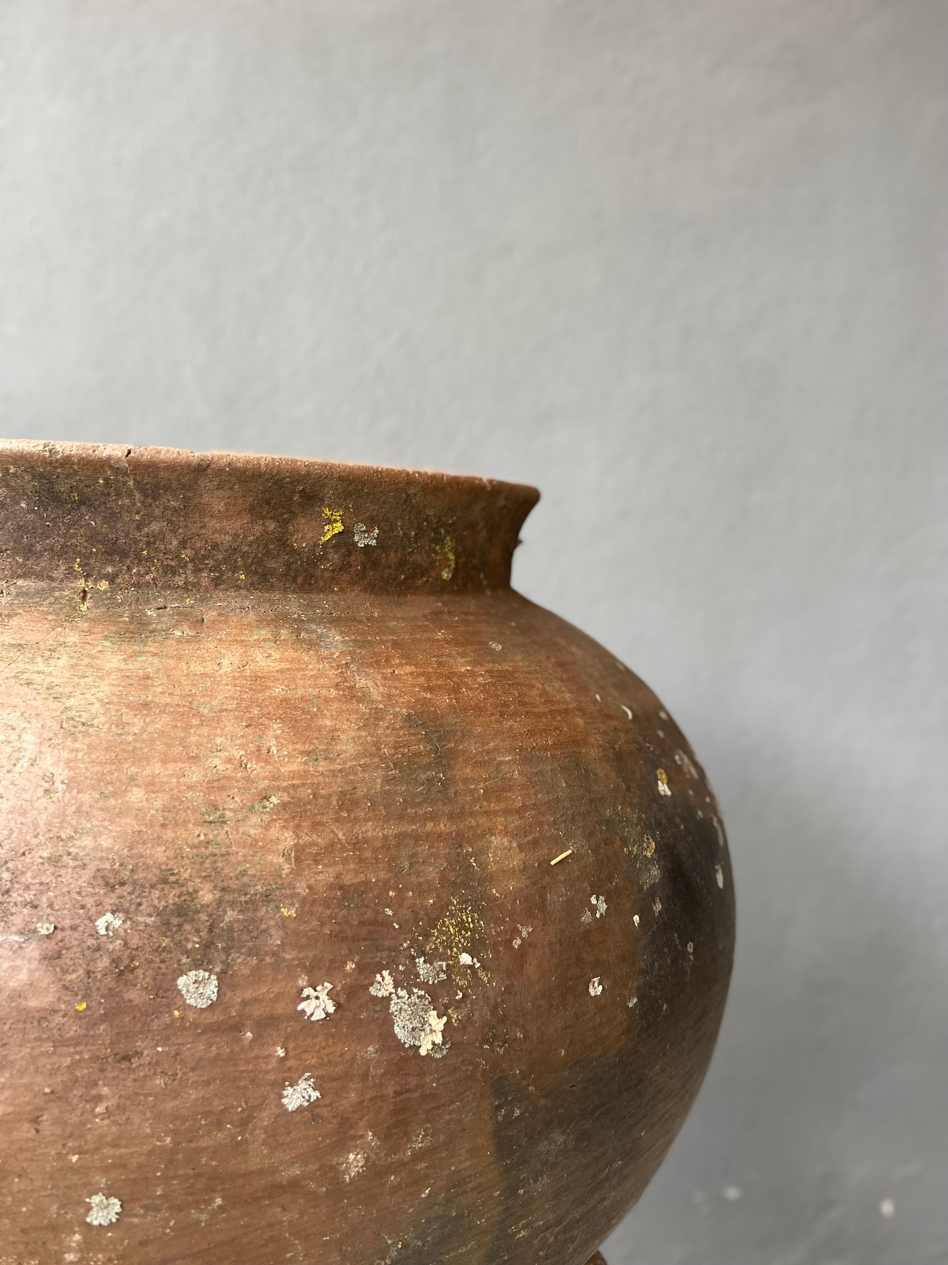 Ceramic Water Pot from Oaxaca, circa 1940s 2