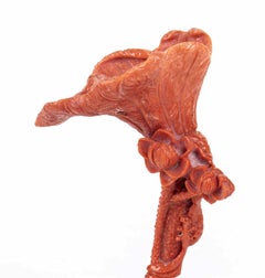 Cerasuolo Coral Carving, Japan, Late 20th Century