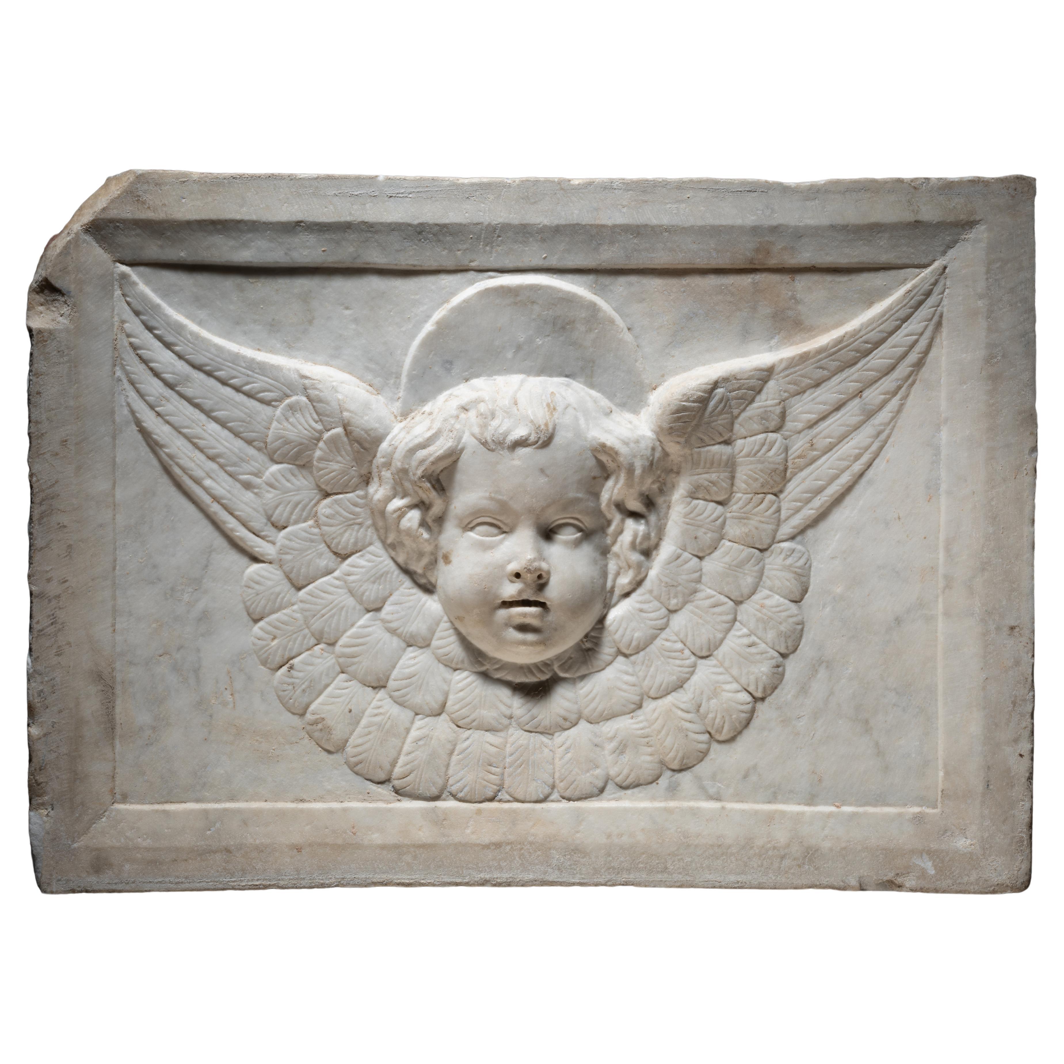 Cercle of Jacopo della Pila - Marble relief depicting a winged Cherub For Sale