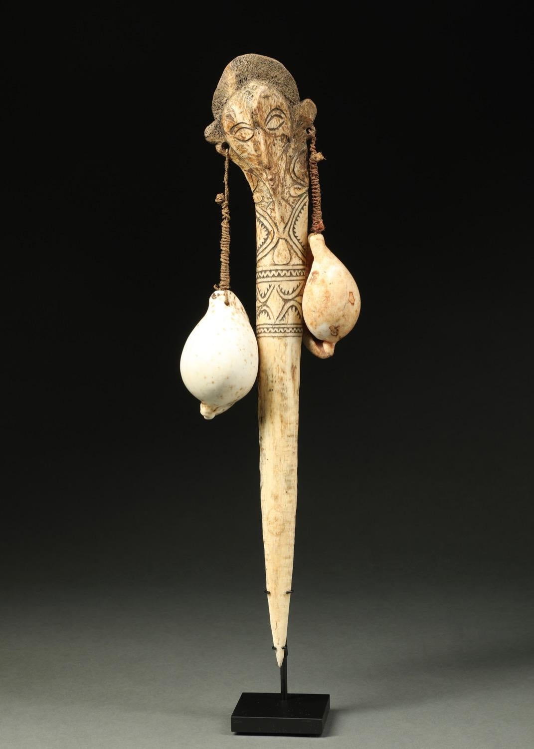 An unusual Abelam ceremonial dagger made from Cassowary bird bone with a sensitive face and two large shell earrings. The bone is carved with a face at the top and intricate incising on the front. The large shell earrings are attached with natural