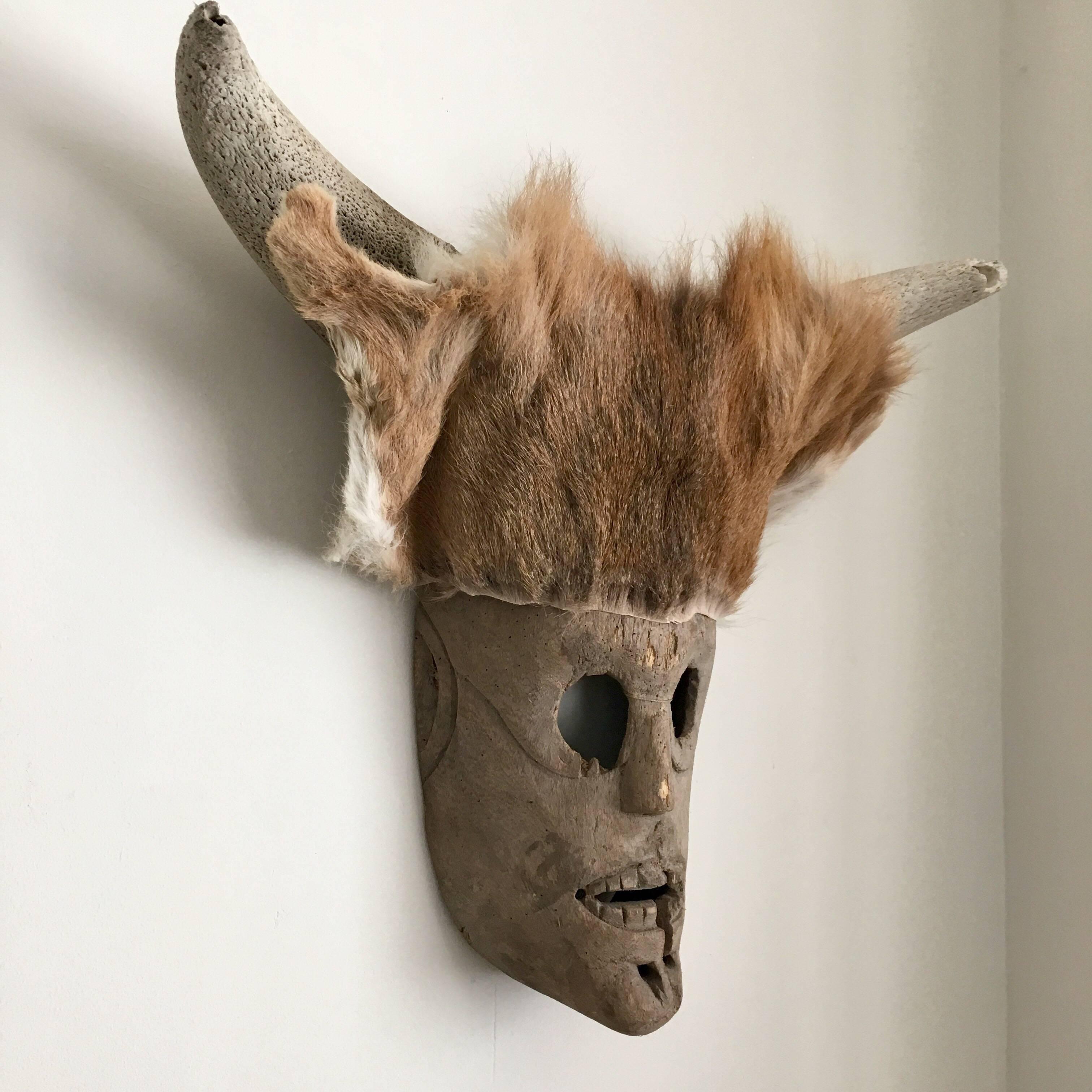 Ceremonial hybrid deer pelt and Horn mask from Zacatecas, Mexico.