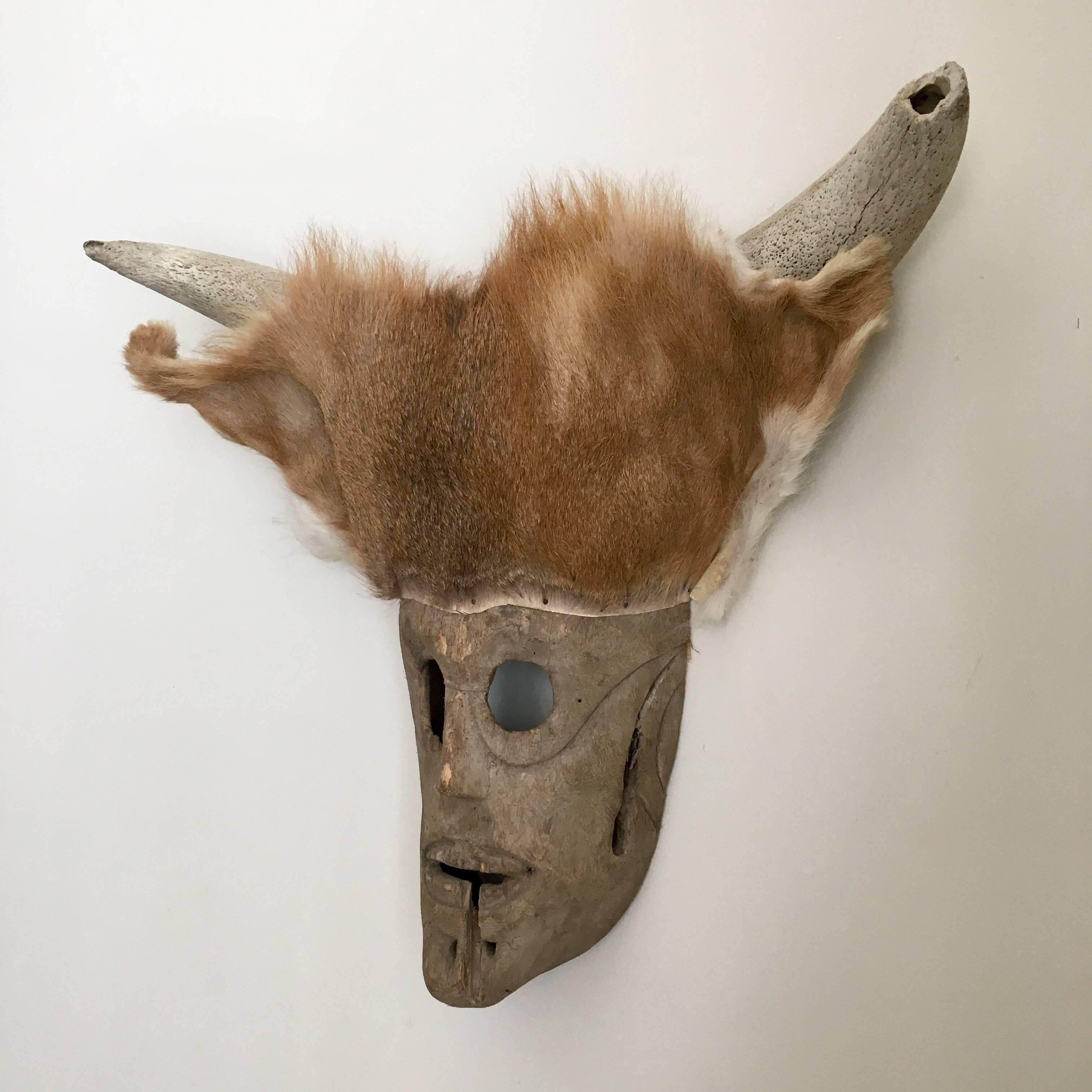 deer masks