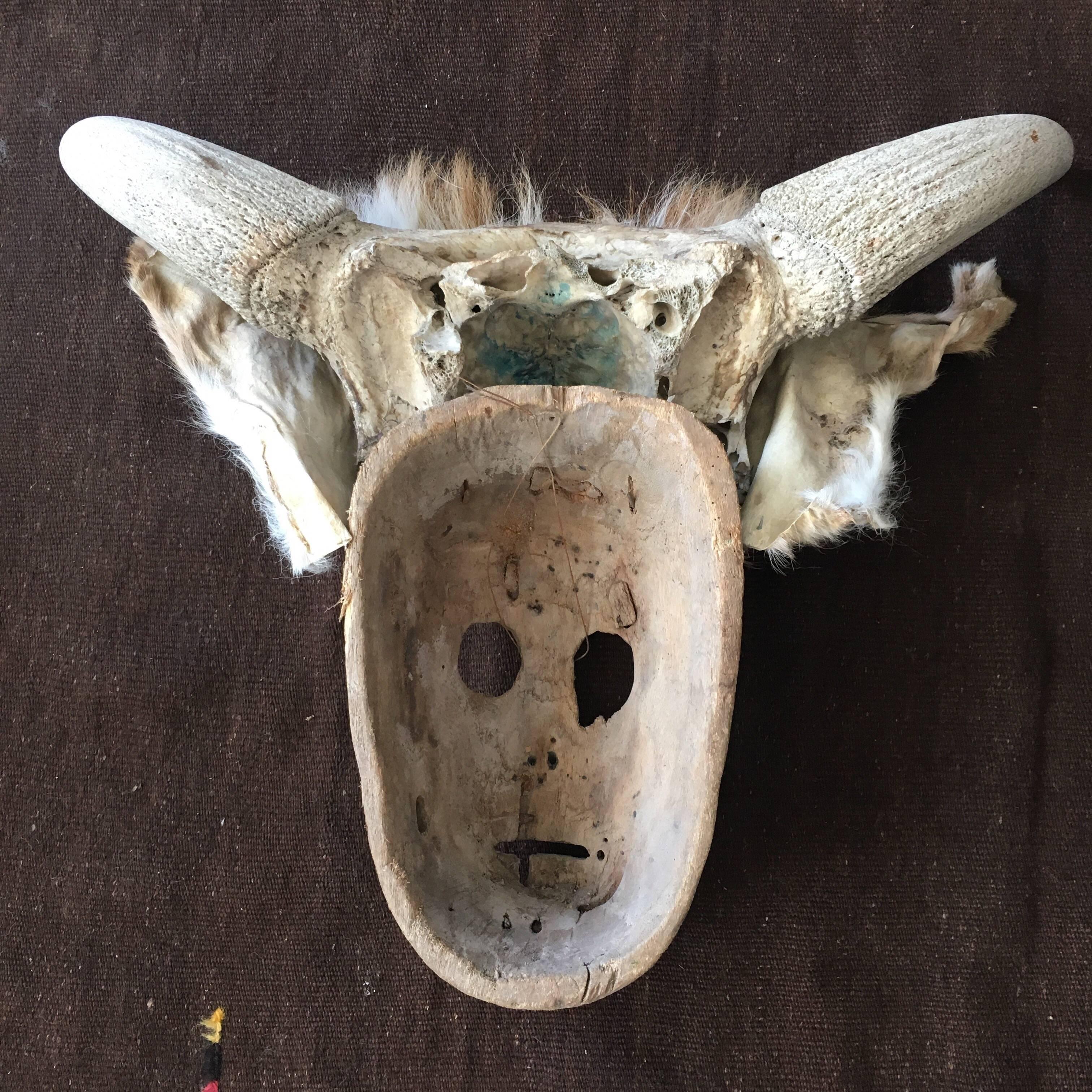 Hand-Carved Ceremonial Deer Mask from Mexico