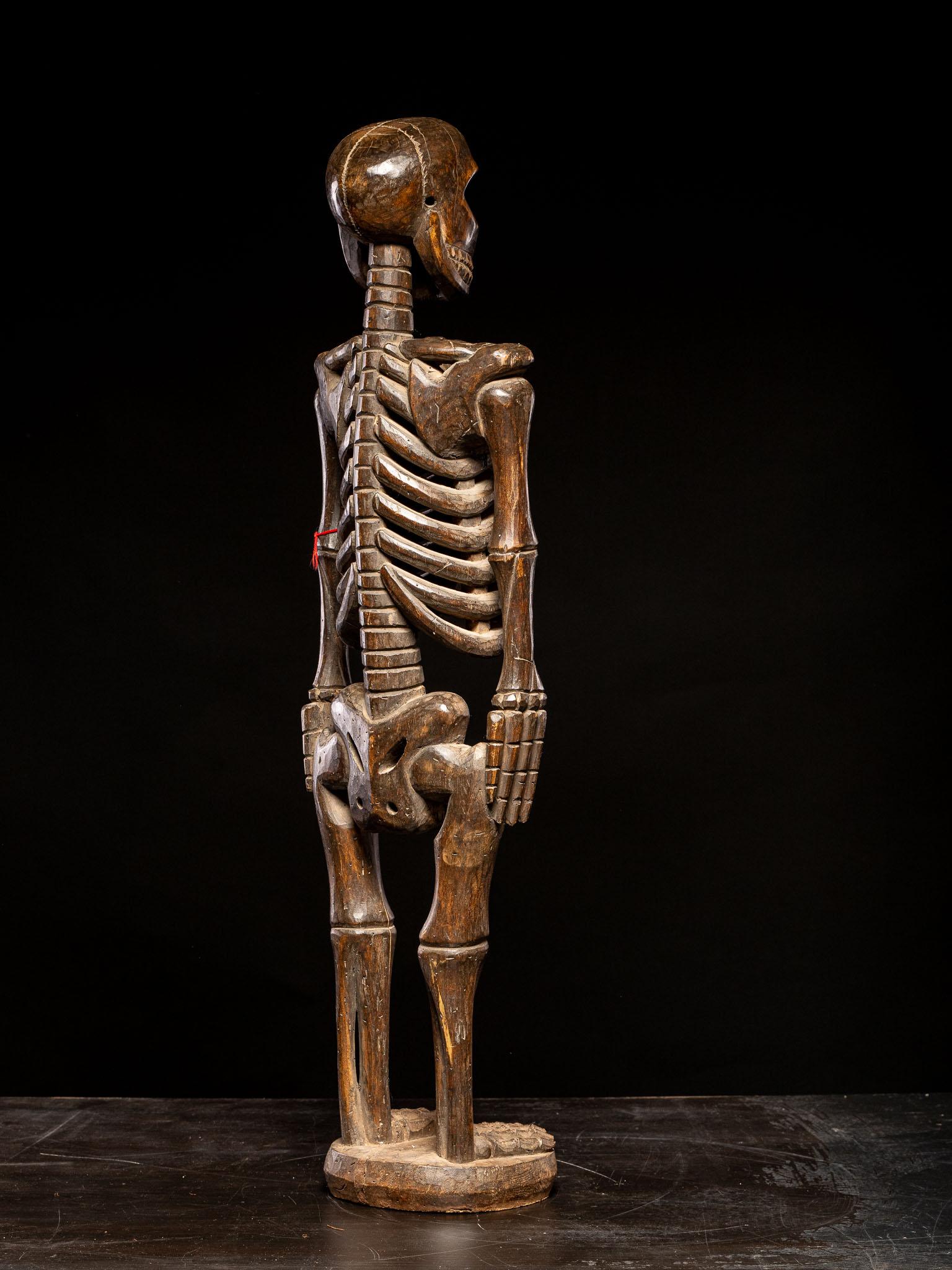 XX secolo Scheletro cerimoniale in legno duro ricavato da un unico pezzo di legno, Nigeria. in vendita