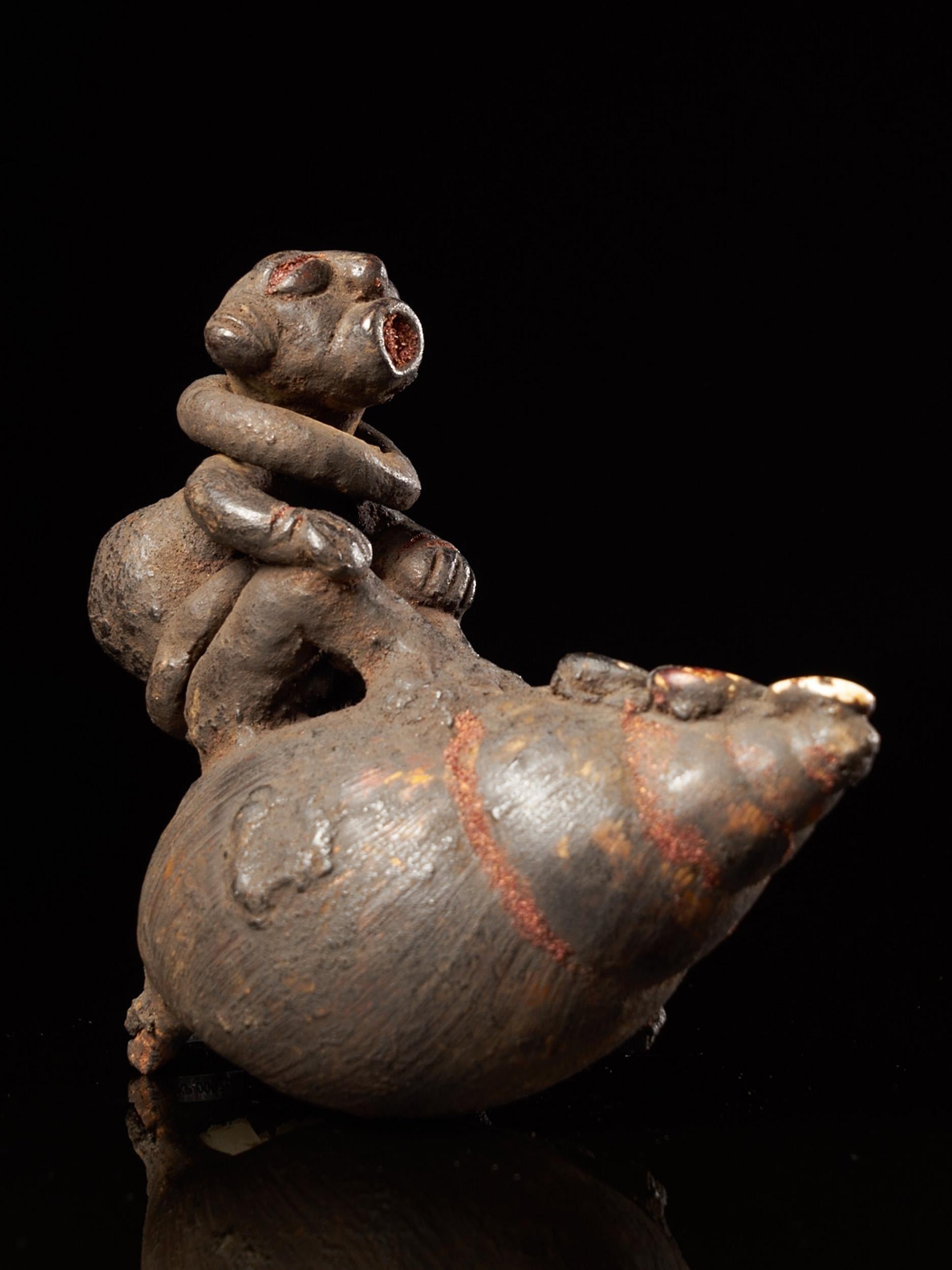Hand-Carved Ceremonial Monkey Figure on a Snailshell, Old German Collection, Bulu People