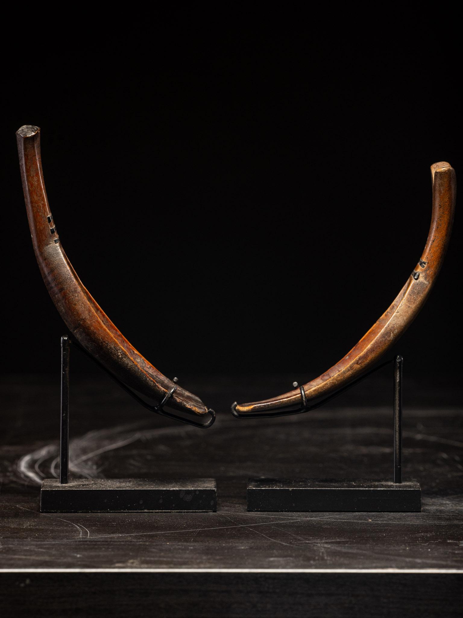 Indonesian Ceremonial Rice Spoon Toraja Culture, Celebes Island (Sulawesi), Indonesia For Sale
