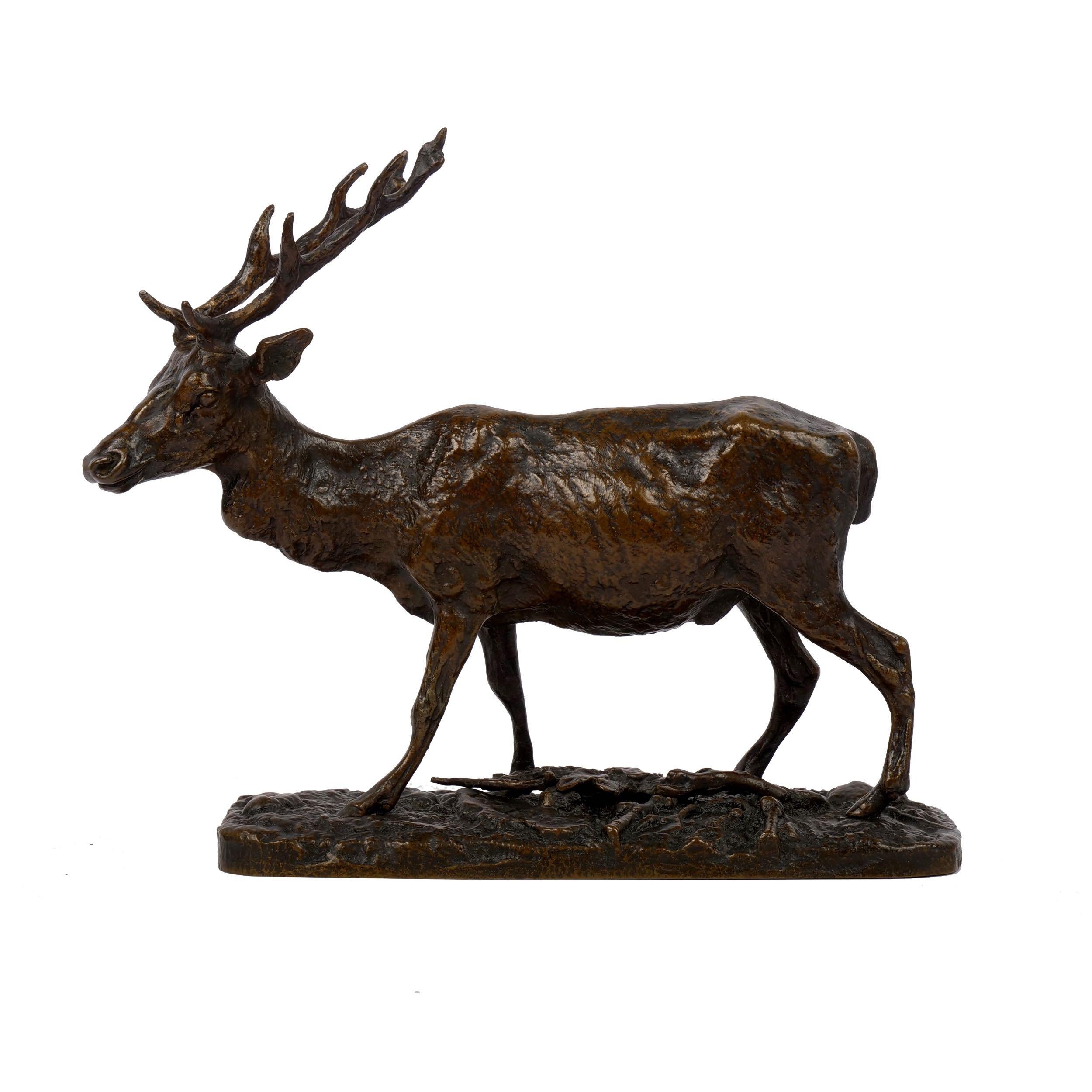 “Cerf Commun” Antique Bronze Sculpture by Pierre Jules Mene, Atelier Cast In Good Condition In Shippensburg, PA