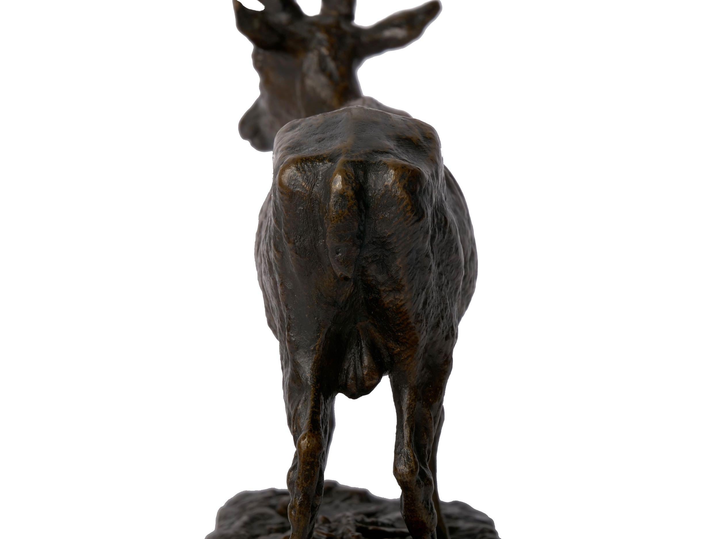 “Cerf Commun” Antique Bronze Sculpture by Pierre Jules Mene, Atelier Cast 4