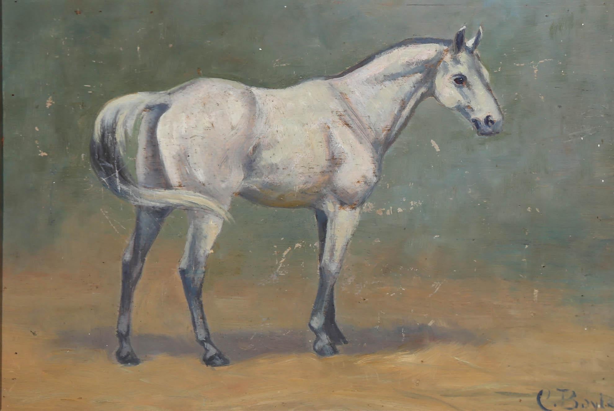Cerise Boyle (1875-1951) - Framed Late 19th Century Oil, Grey Horse 1