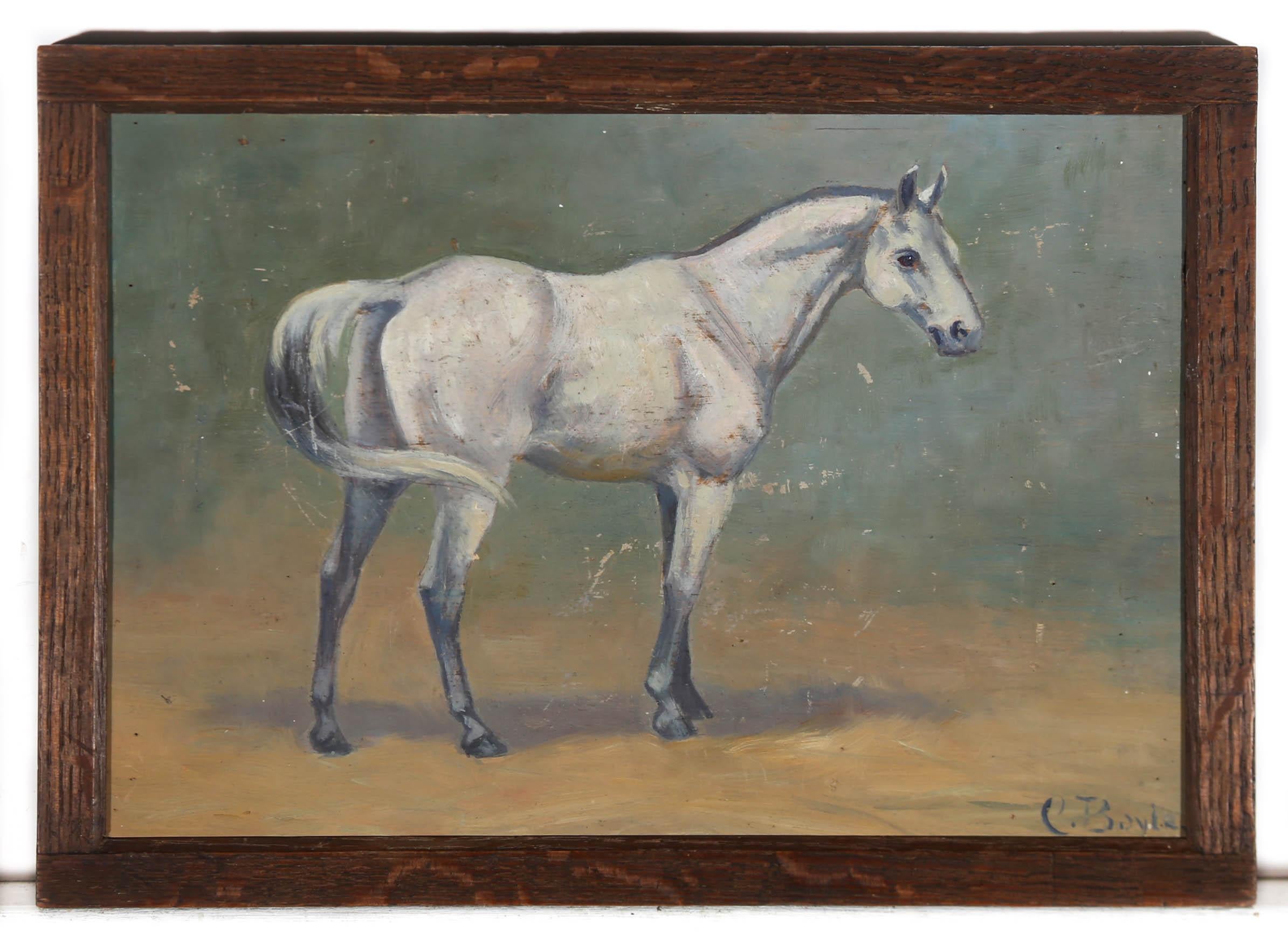 Cerise Boyle (1875-1951) - Framed Late 19th Century Oil, Grey Horse 2