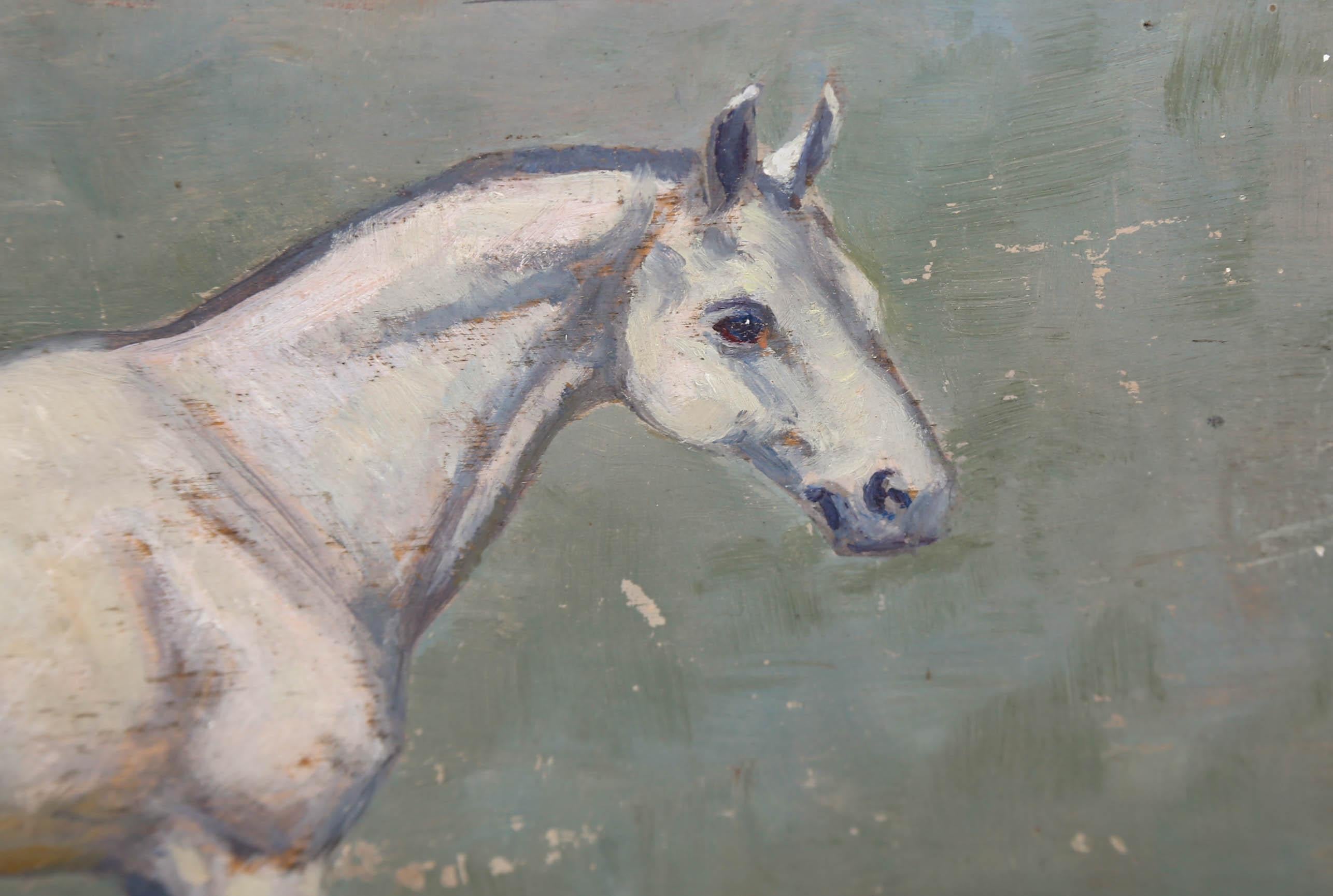 Cerise Boyle (1875-1951) - Framed Late 19th Century Oil, Grey Horse 4