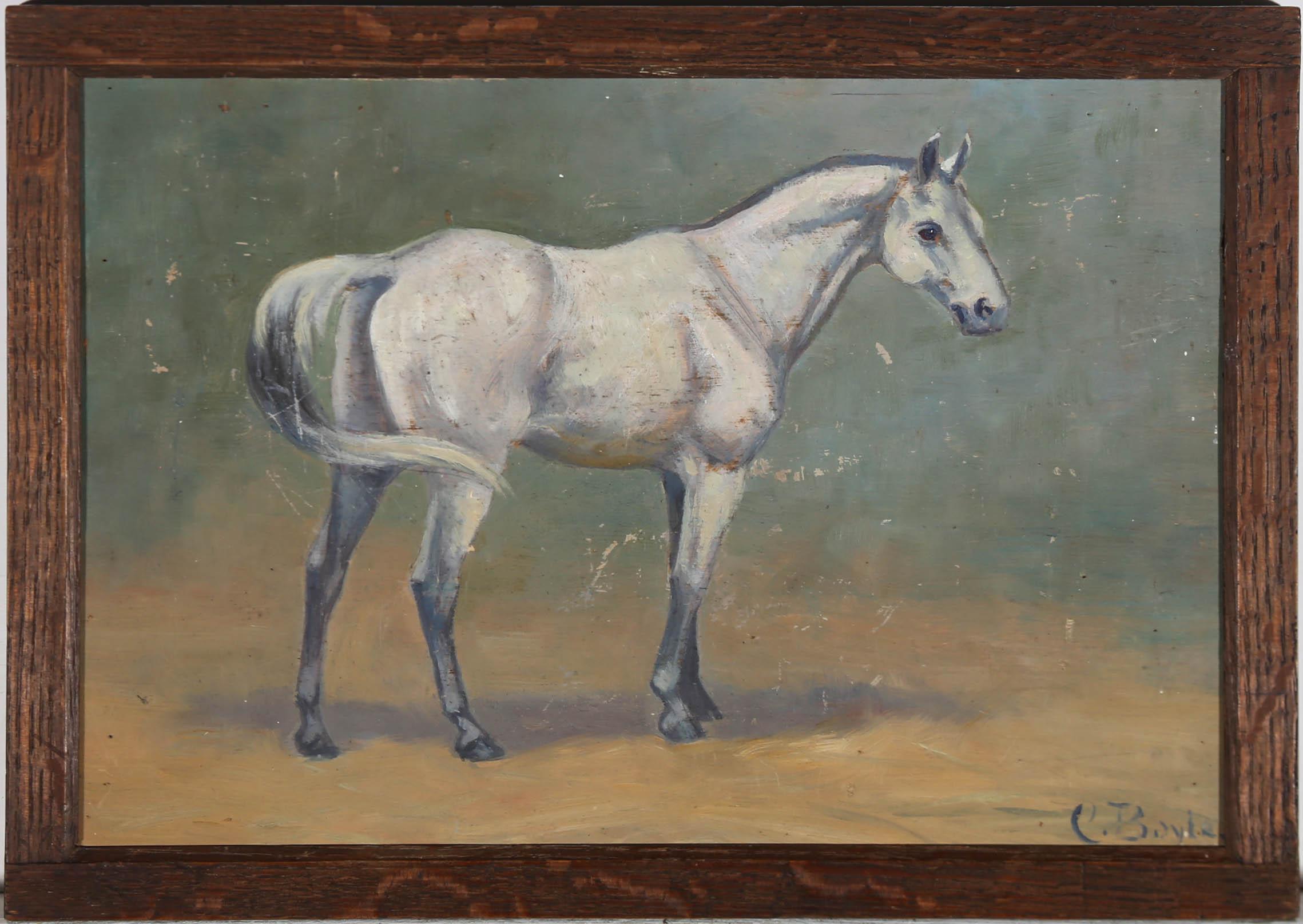 A charming study of a grey horse, painted by equine artist Cerise Boyle (1875-1951). The oil has been signed to the lower right. Beautifully presented in a rustic wood frame. On wood panel. 