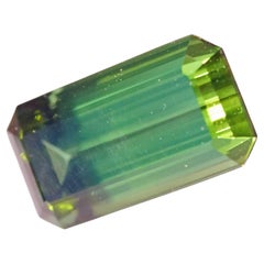 Certificate Tourmaline Afghanistan green 19.79ct fine Color Eyeclean Investment 