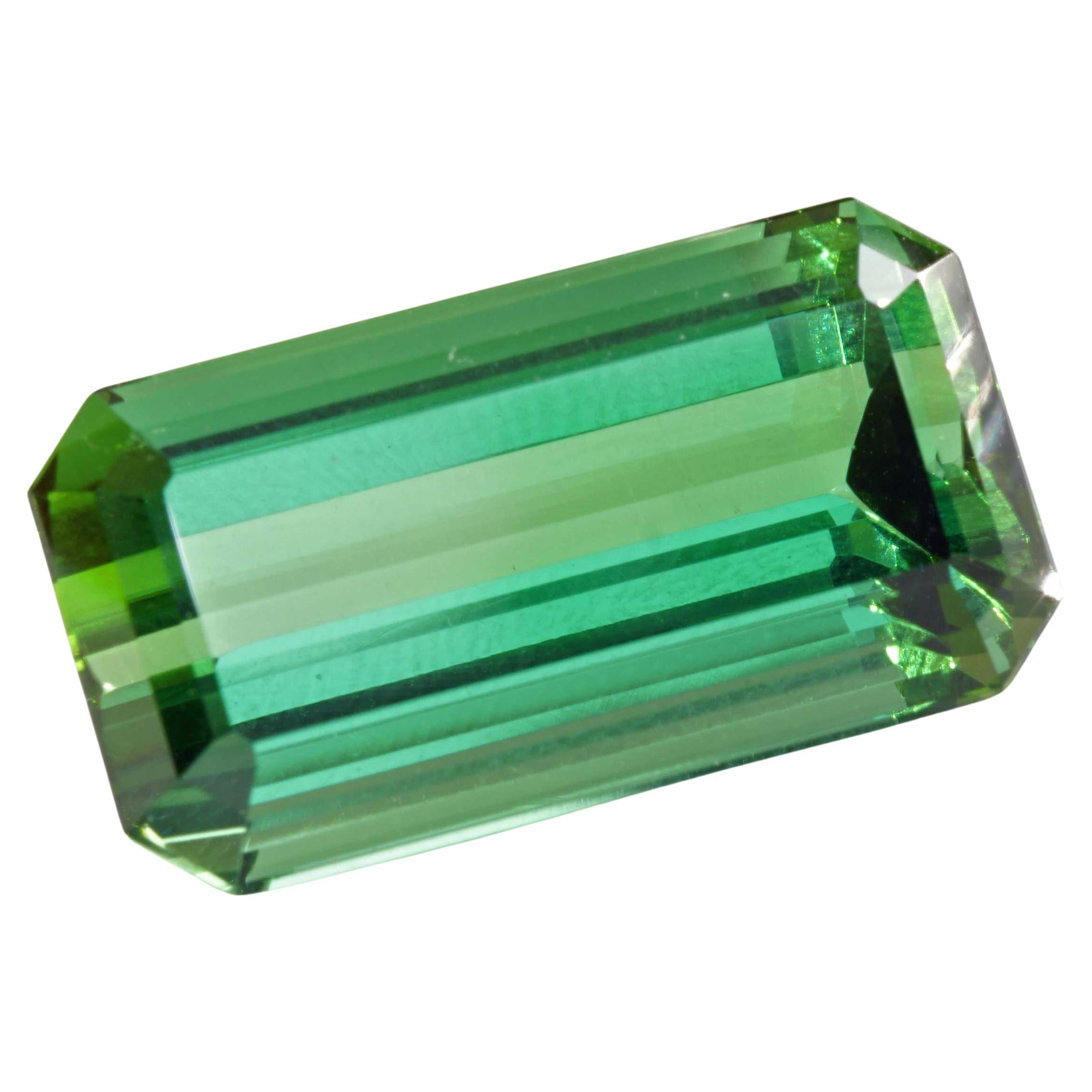 Certificate Tourmaline Afghanistan green 19.79ct fine Color Eyeclean Investment