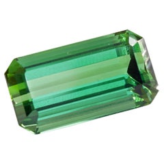 Certificate Tourmaline Afghanistan green 19.79ct fine Color Eyeclean Investment