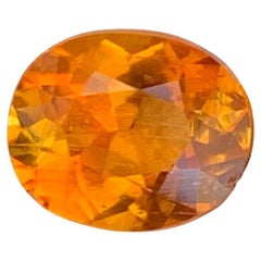 Pierre précieuse Clinohumite du Tadjikistan, certifiée 1,26 carat, en vrac, naturelle et rare