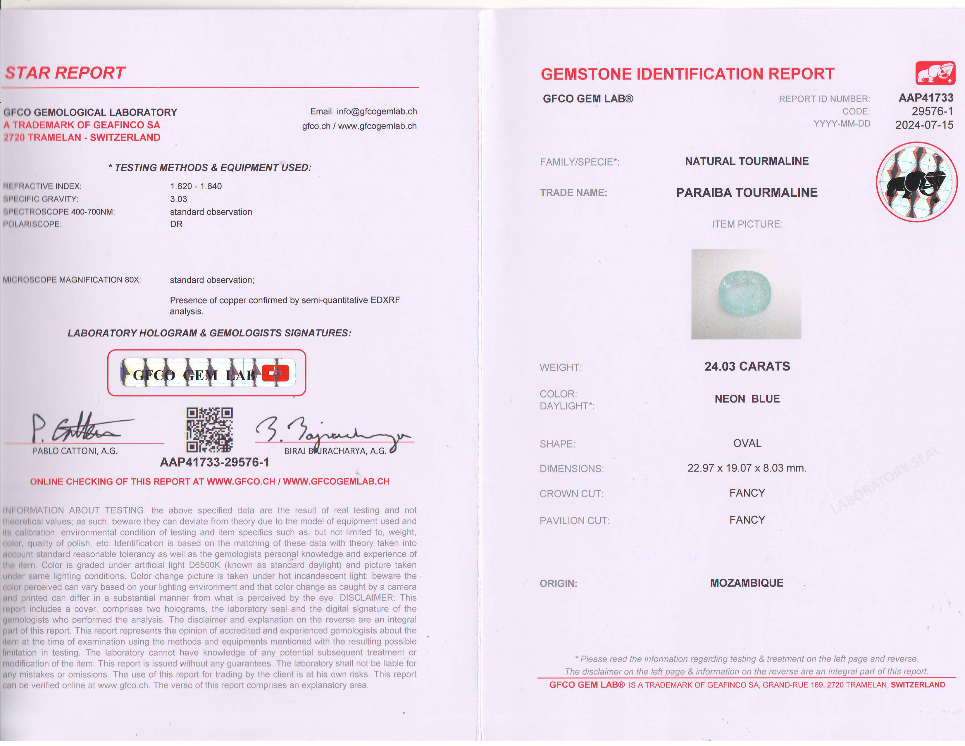 Chef d'oeuvre transformable certifié 24 cts Mozambique Paraiba & 8.26 cts Diamant en vente 4