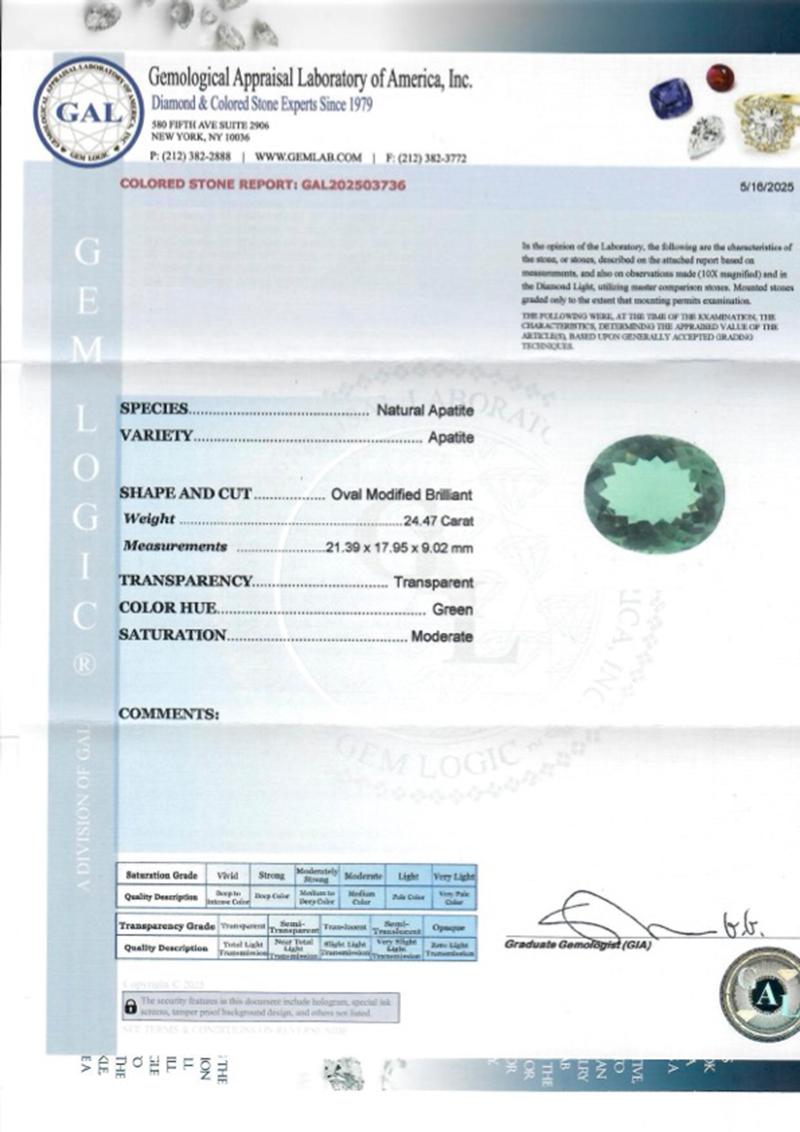 Certified 24.47 Carat Green Apatite Gemstone in vendita 1