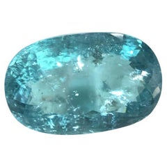 Certified 25.56 Carats Paraiba Tourmaline Big Size Cut Stone