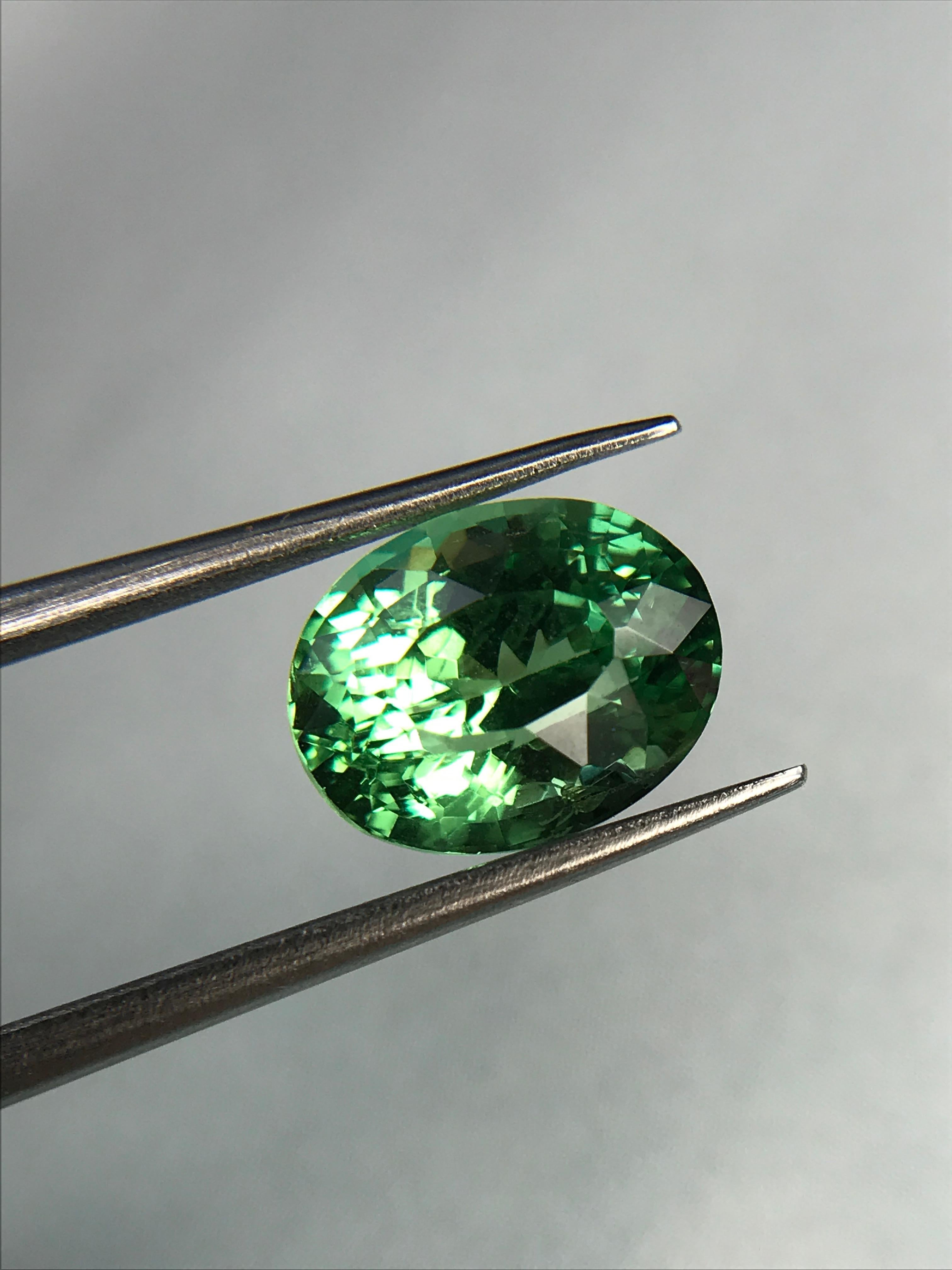 Exquisite 3.15 carat oval Tsavorite, this vibrant green stone would look marvellous in a ring or pendant.

We specialise in colour gemstones and offer a bespoke jewellery service. The production time for bespoke pieces is usually 4-8 weeks from the