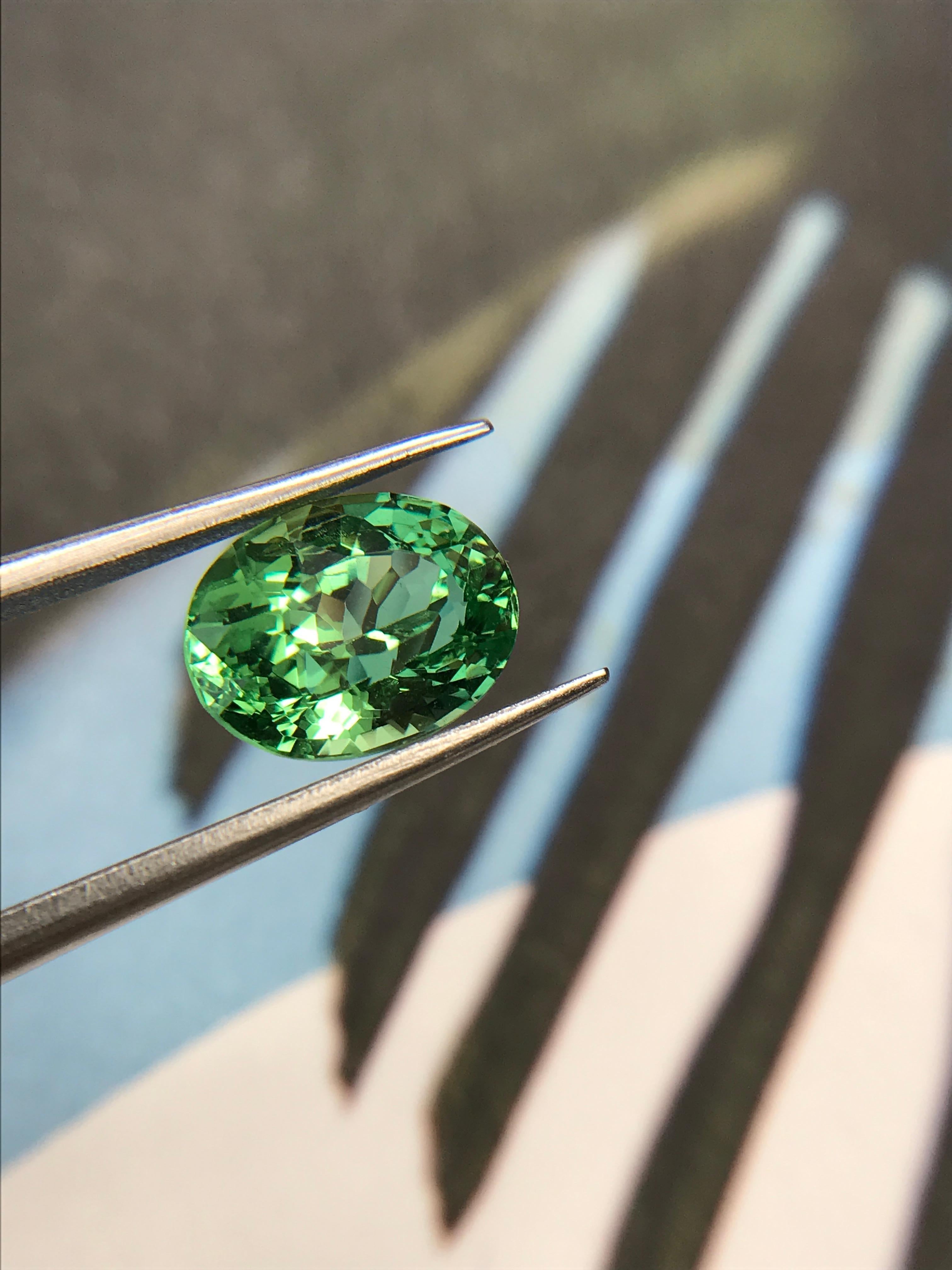 3.15 Carat Natural, Oval Tsavorite In New Condition For Sale In London, GB