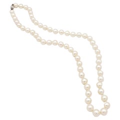 zertifizierte AA+ Qualität Japanische Akoya Salzwasser-Halskette mit weißen Perlen