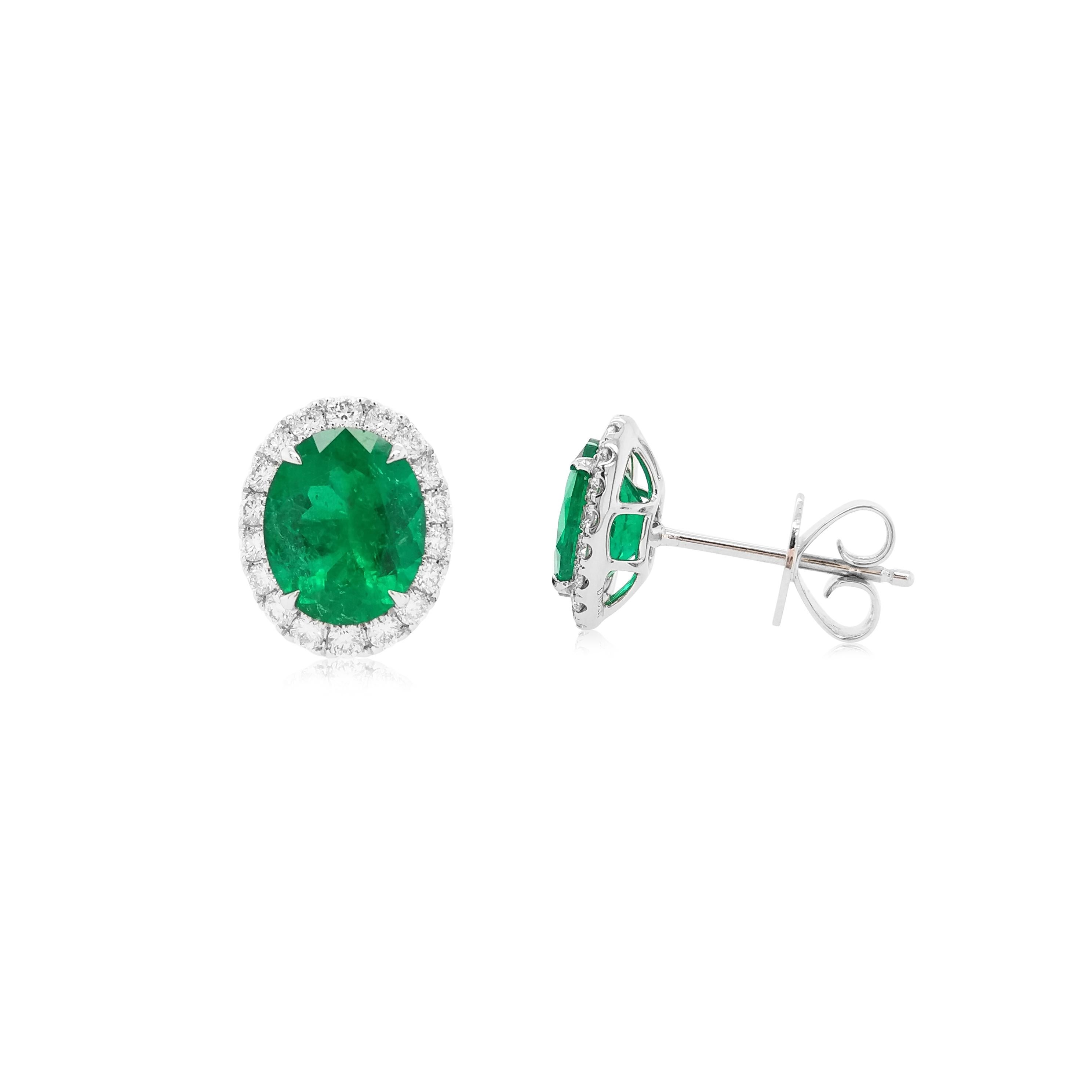 These classic earrings feature lustrous oval-shaped Colombian Emeralds at the centre of the design, with a delicate white diamond halo surrounding them. Set in 18 Karat white gold to enrich the remarkable hues of the emerald and the sparkle of the