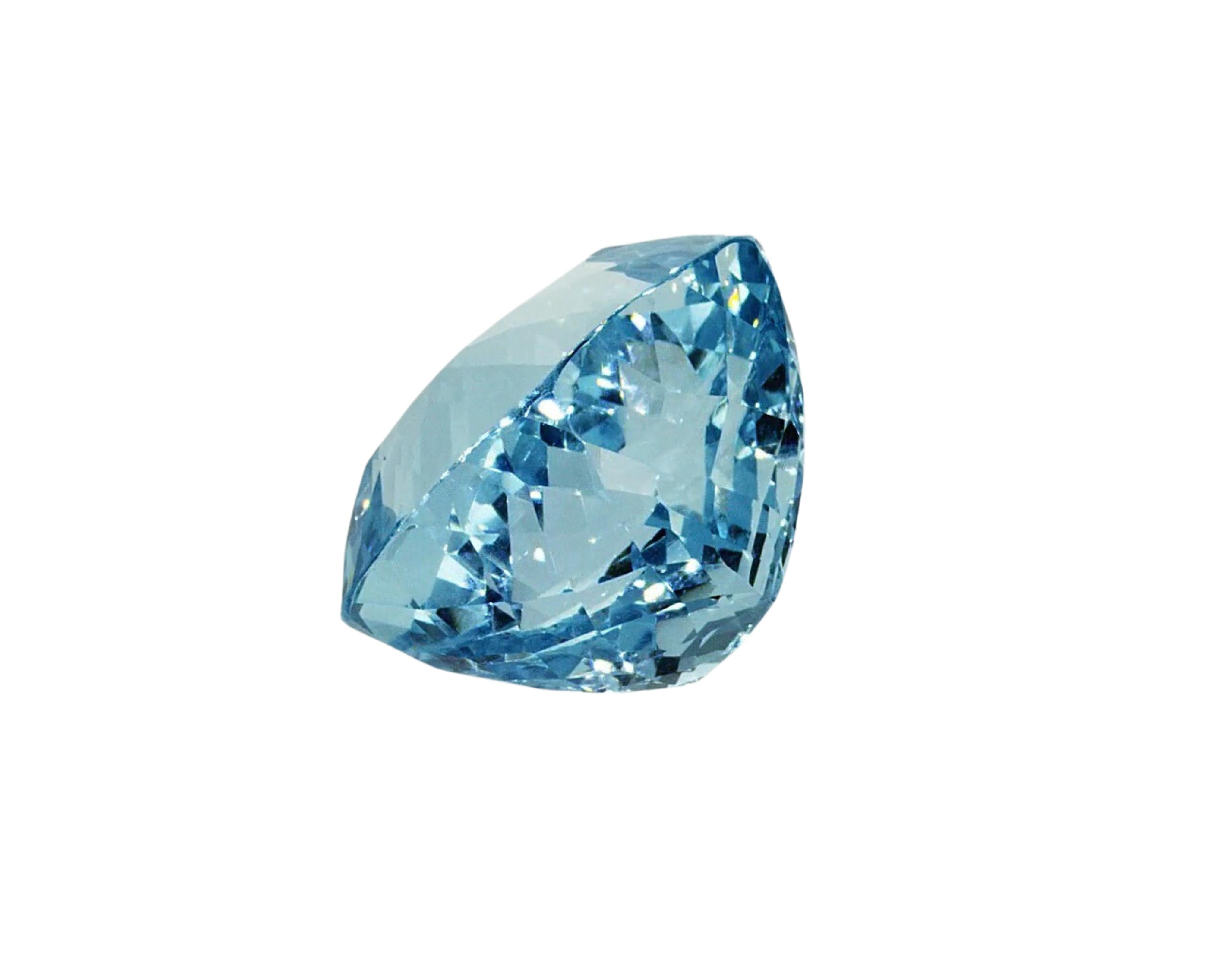 Certified Aquamarine -  Collector Item -  Cushion cut 46.61 Carat In New Condition For Sale In Antwerpen, BE