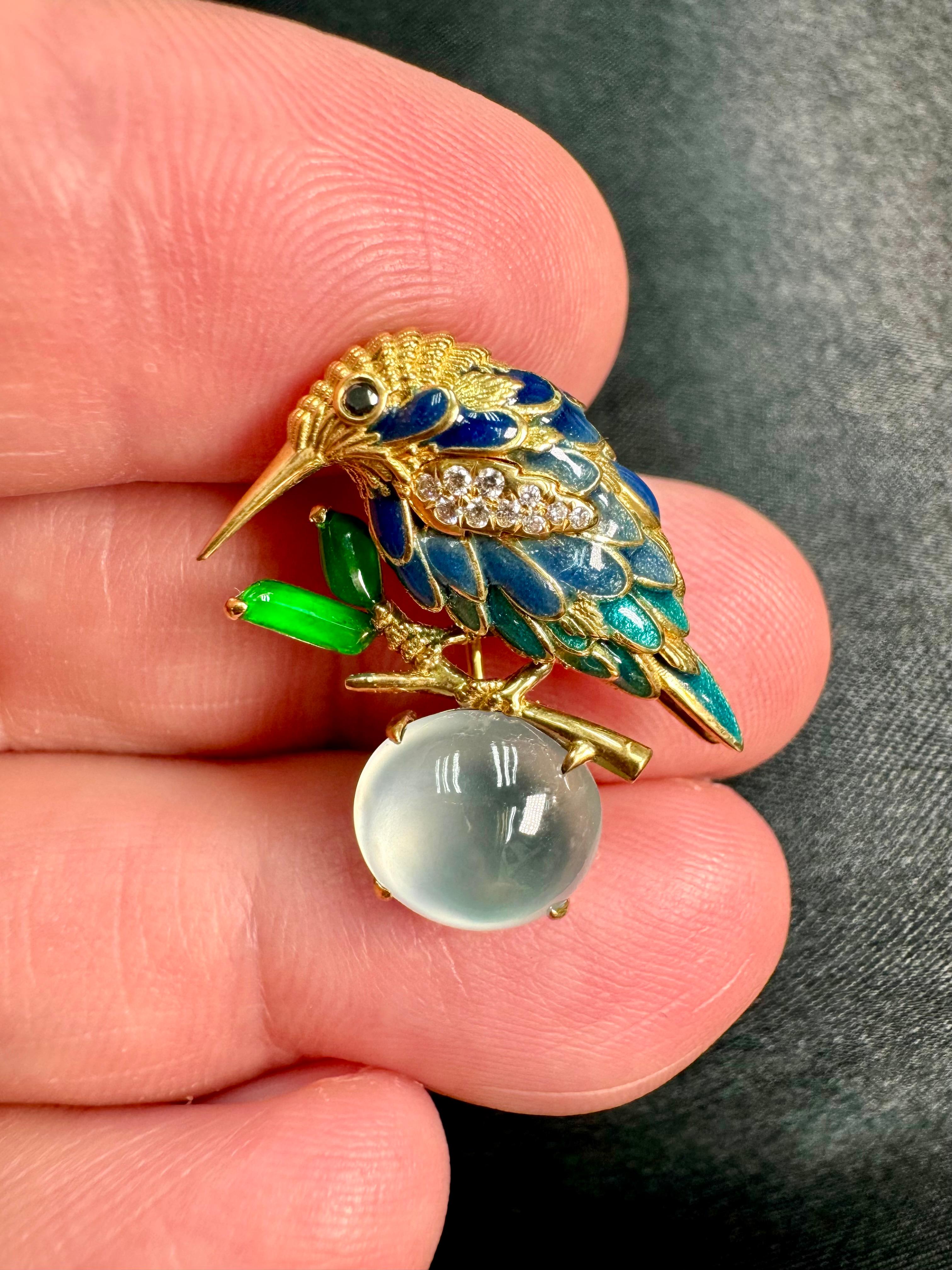 the imperial hummingbird plate