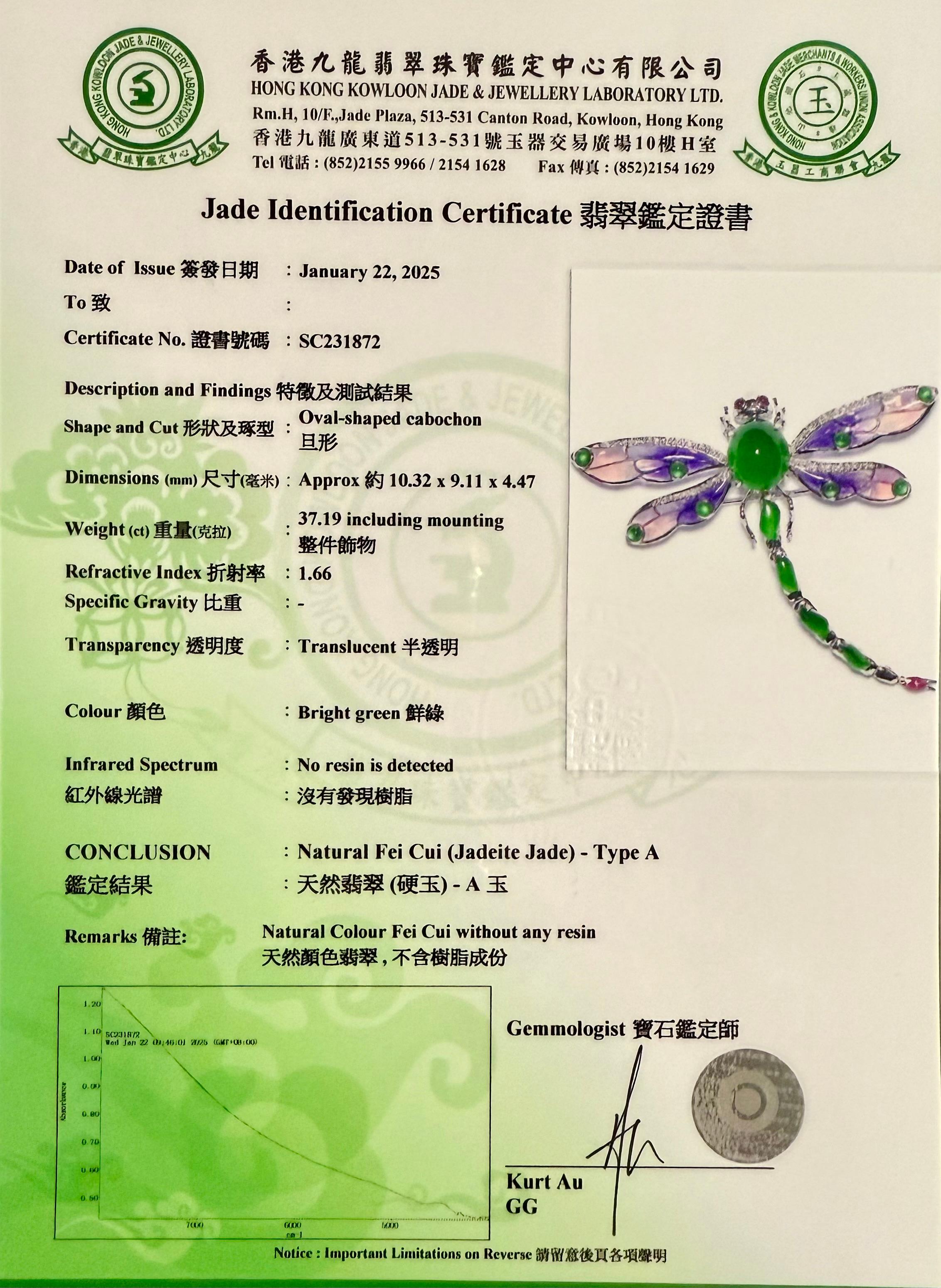 Colgante / Broche de Jade Certificado, Rubí, Diamante y Libélula Esmaltada. ¡Exquisito! en venta 15