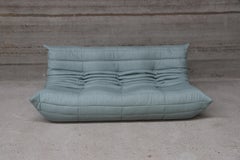 CERTIFIED Ligne Roset TOGO Large settee in Celadon Fabric, DIAMOND QUALITY