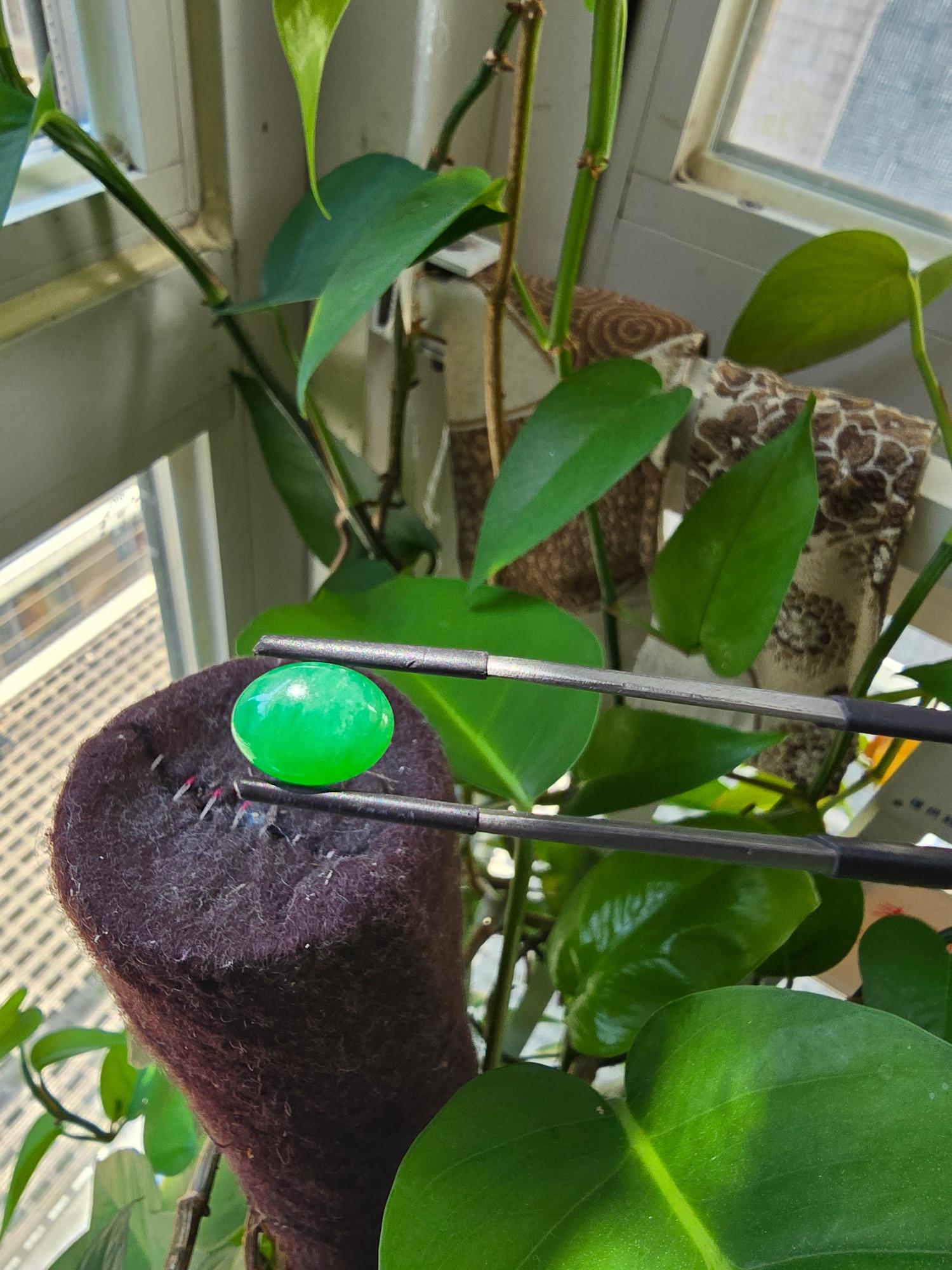 Certified MADE IN JAPAN 5.841cts. Intense Green Burmese A-Jadeite Oval Cabochon In New Condition For Sale In Kowloon, HK